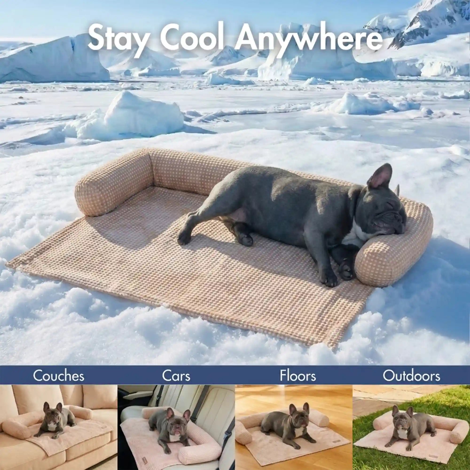 sparkpawsmaut.com