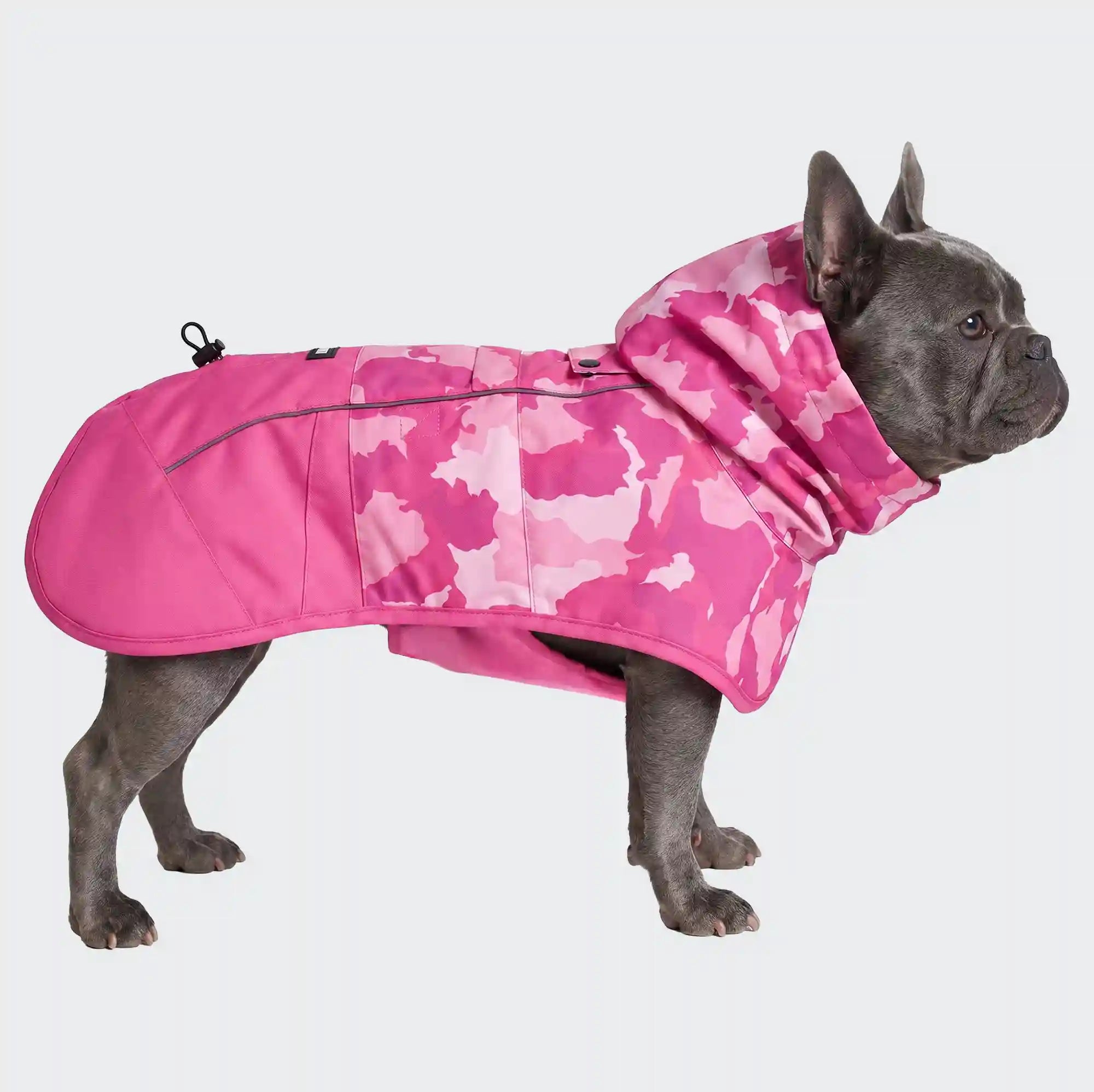 sparkpawsmaut.com
