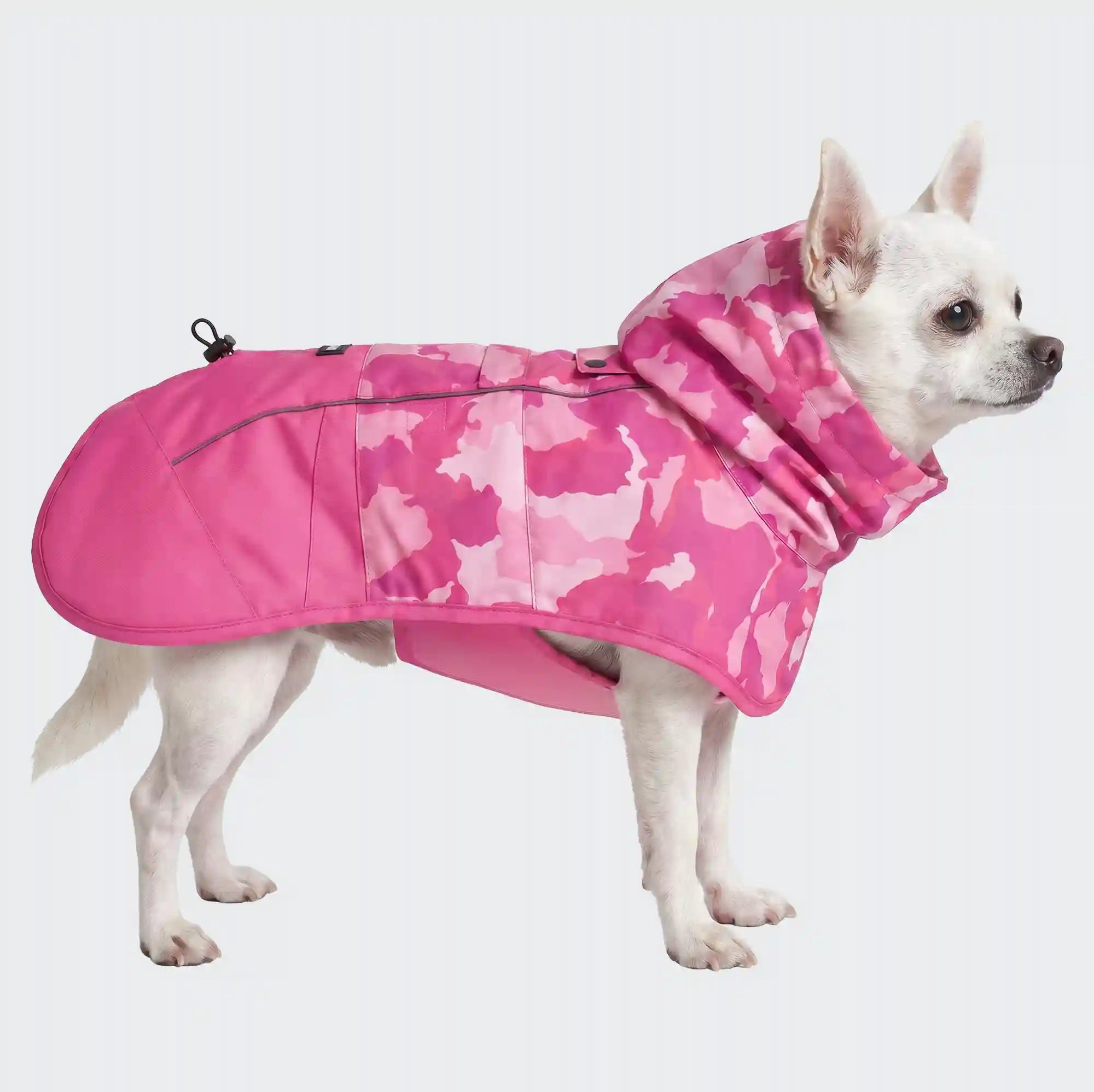 sparkpawsmaut.com
