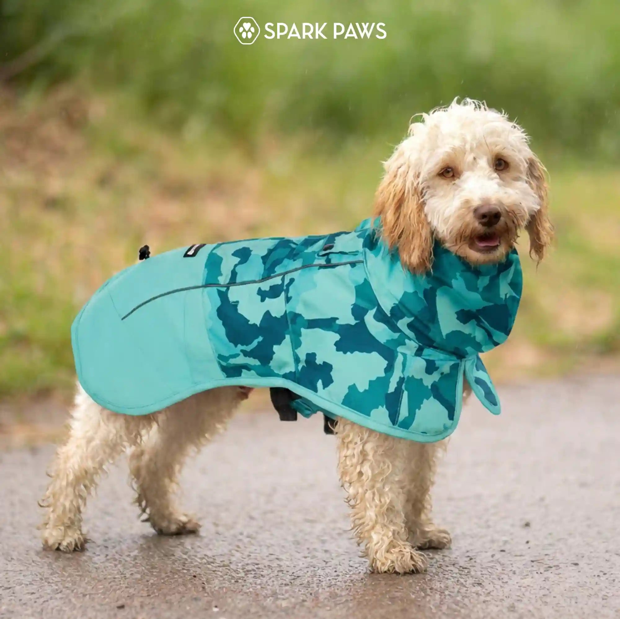 sparkpawsmaut.com