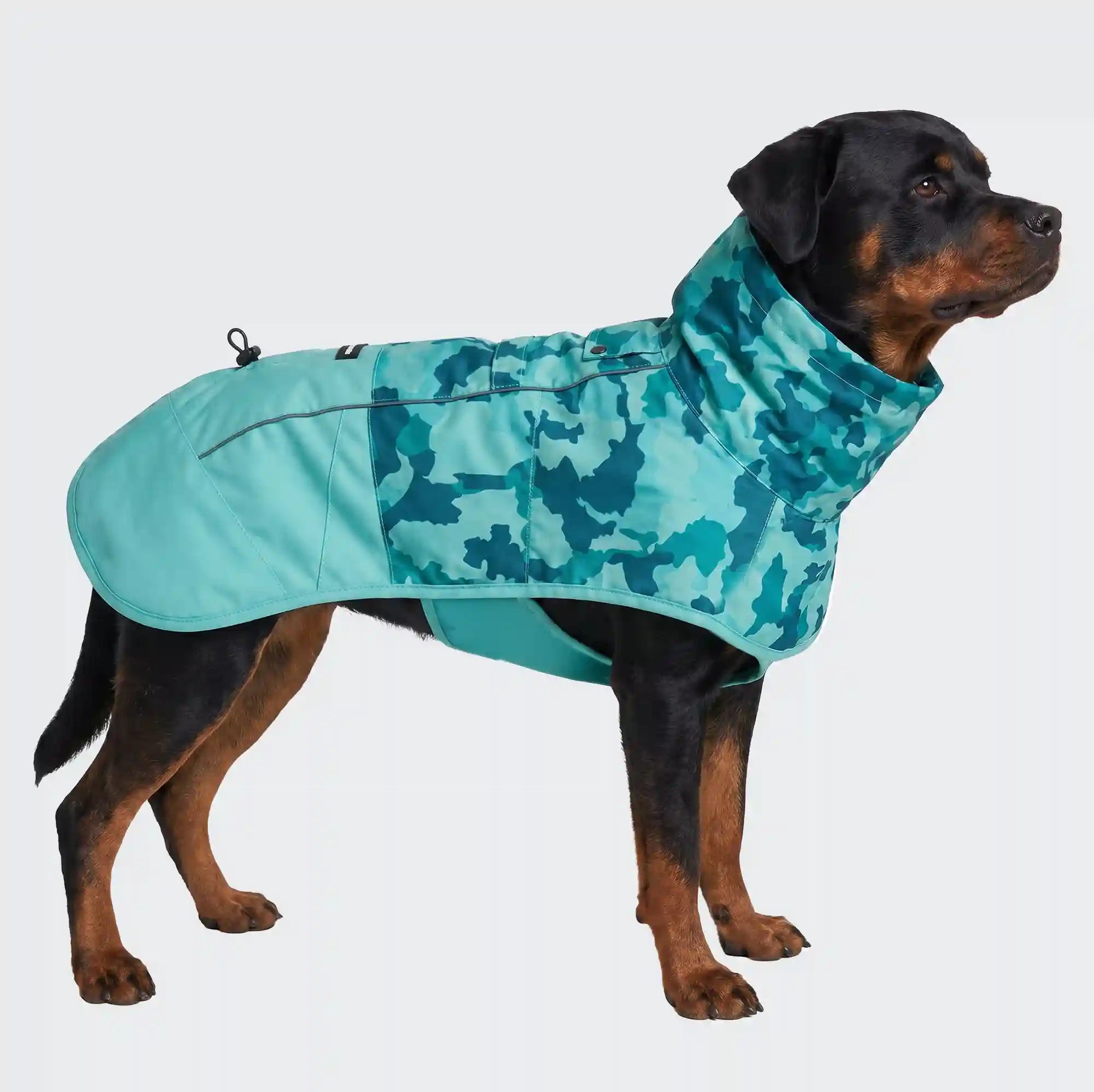 sparkpawsmaut.com