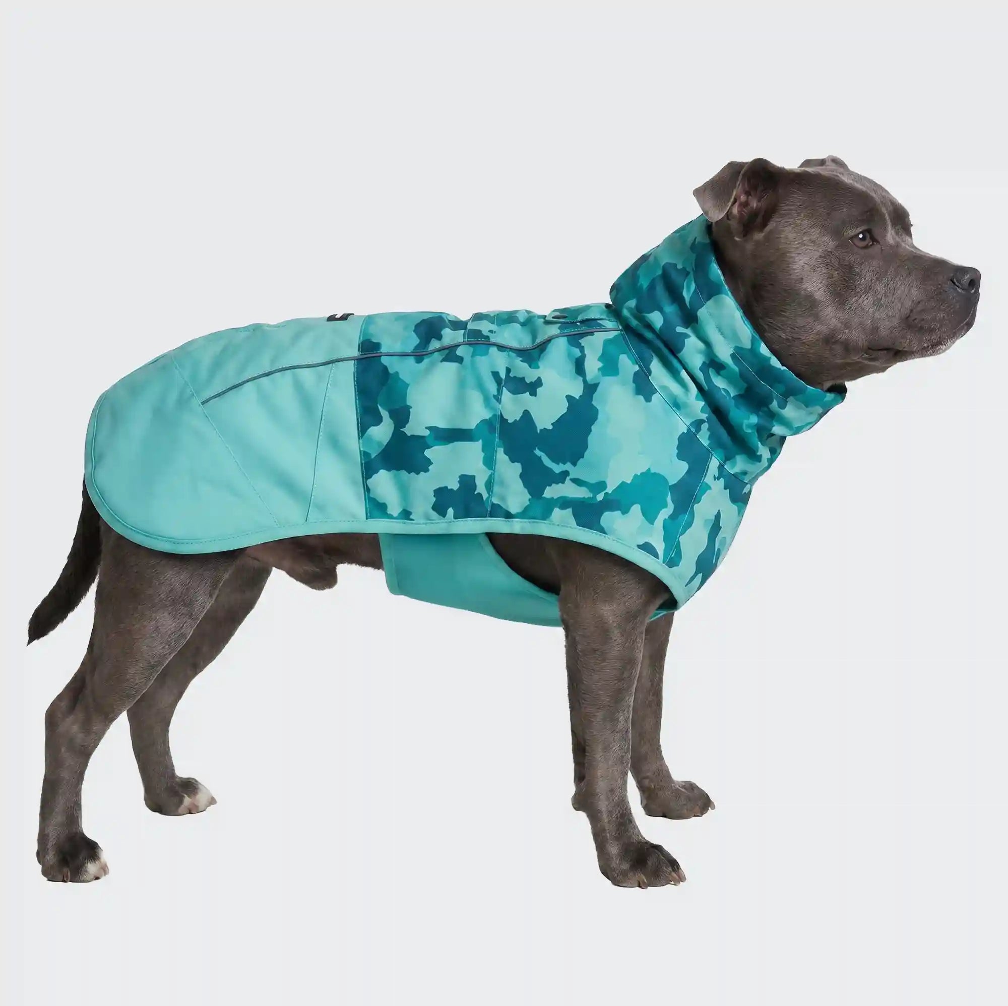 sparkpawsmaut.com