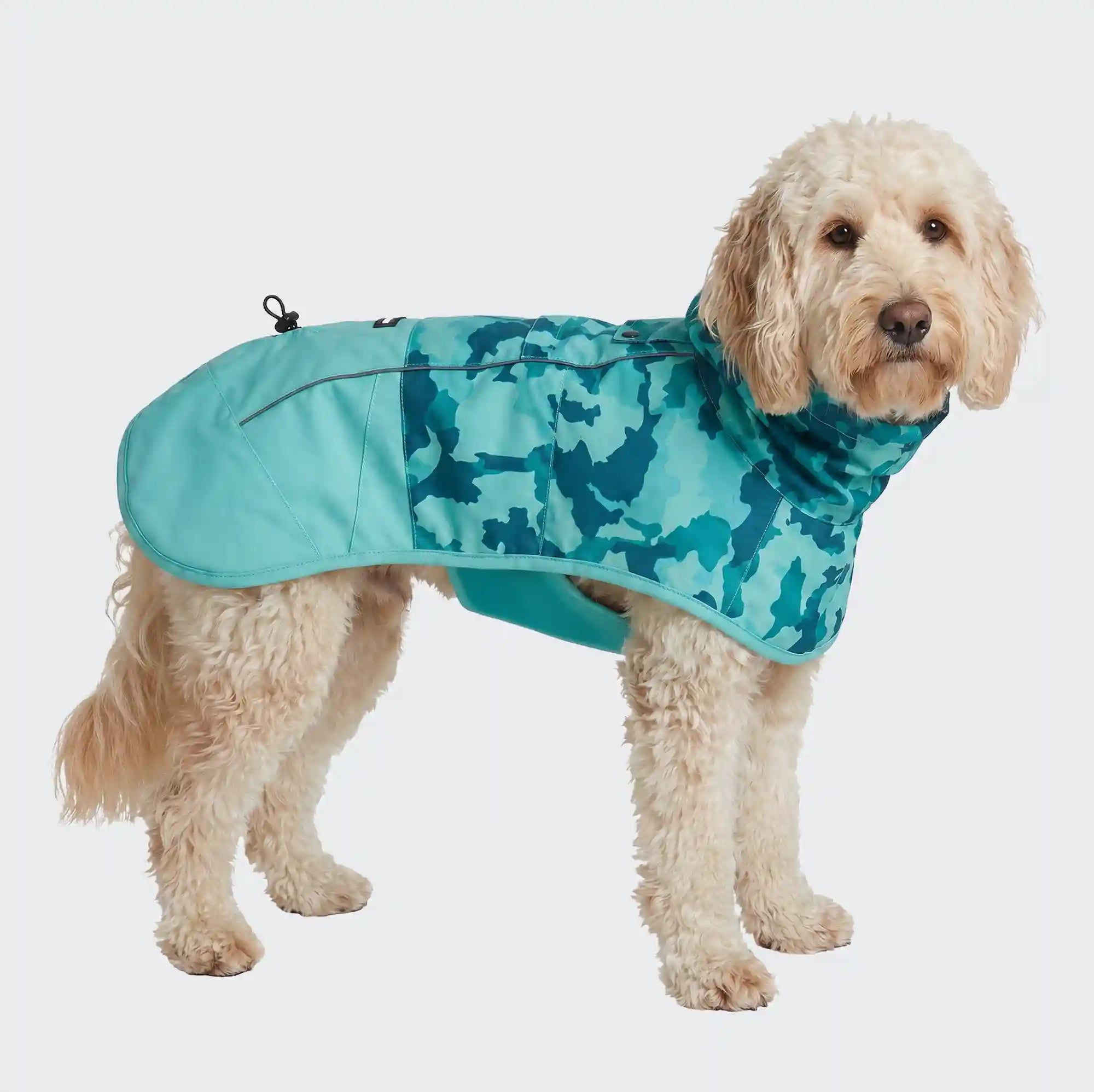 sparkpawsmaut.com