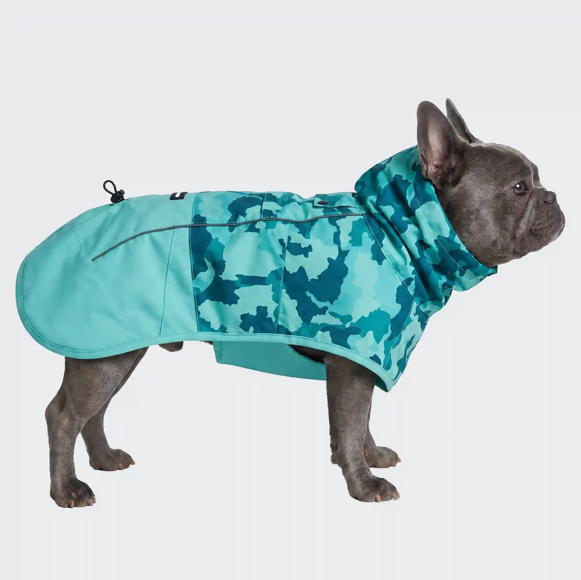 sparkpawsmaut.com