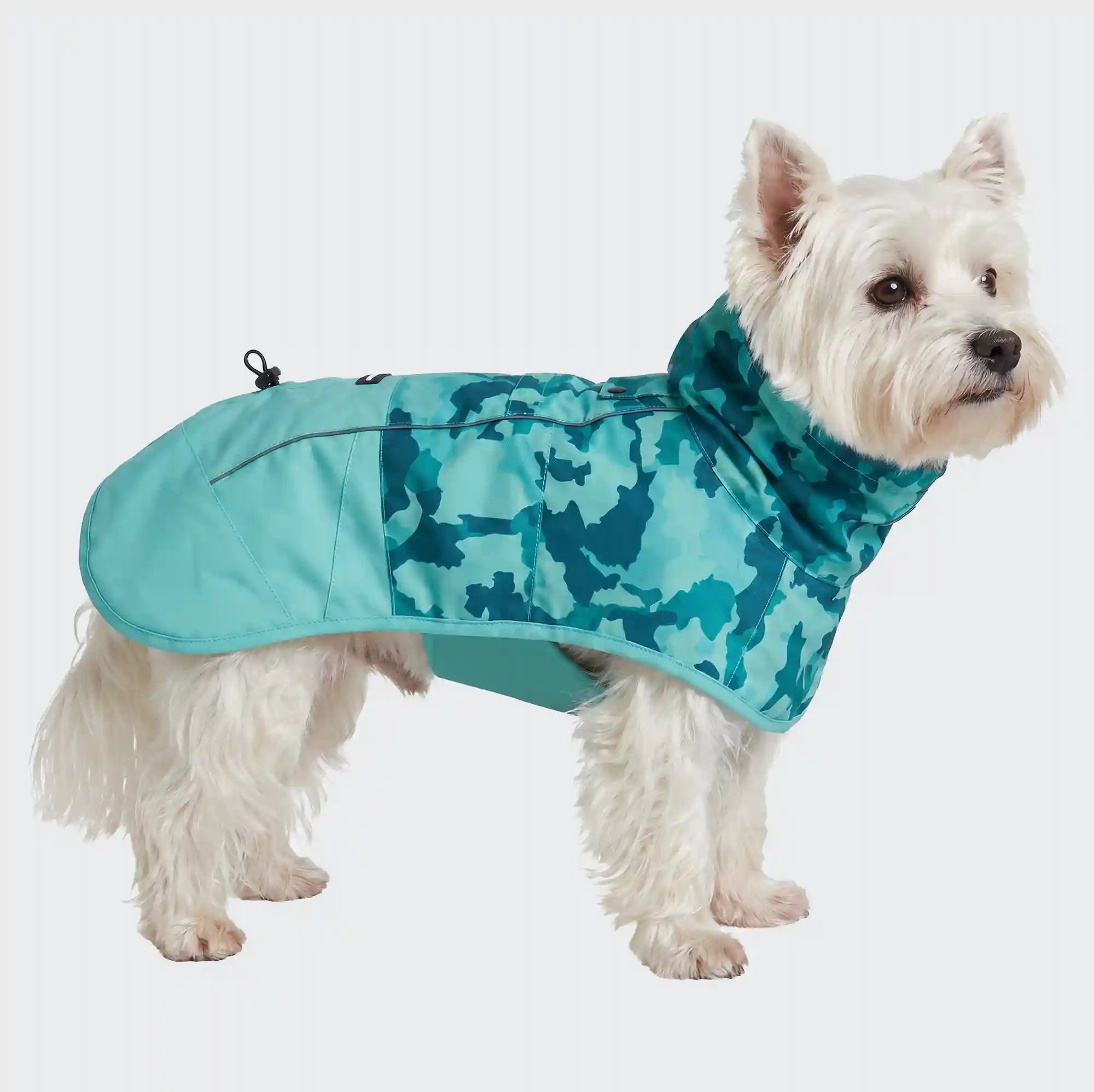sparkpawsmaut.com