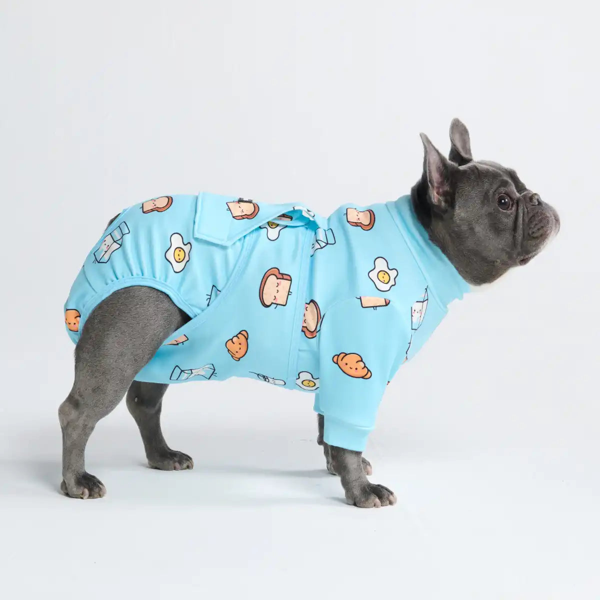 sparkpawsmaut.com