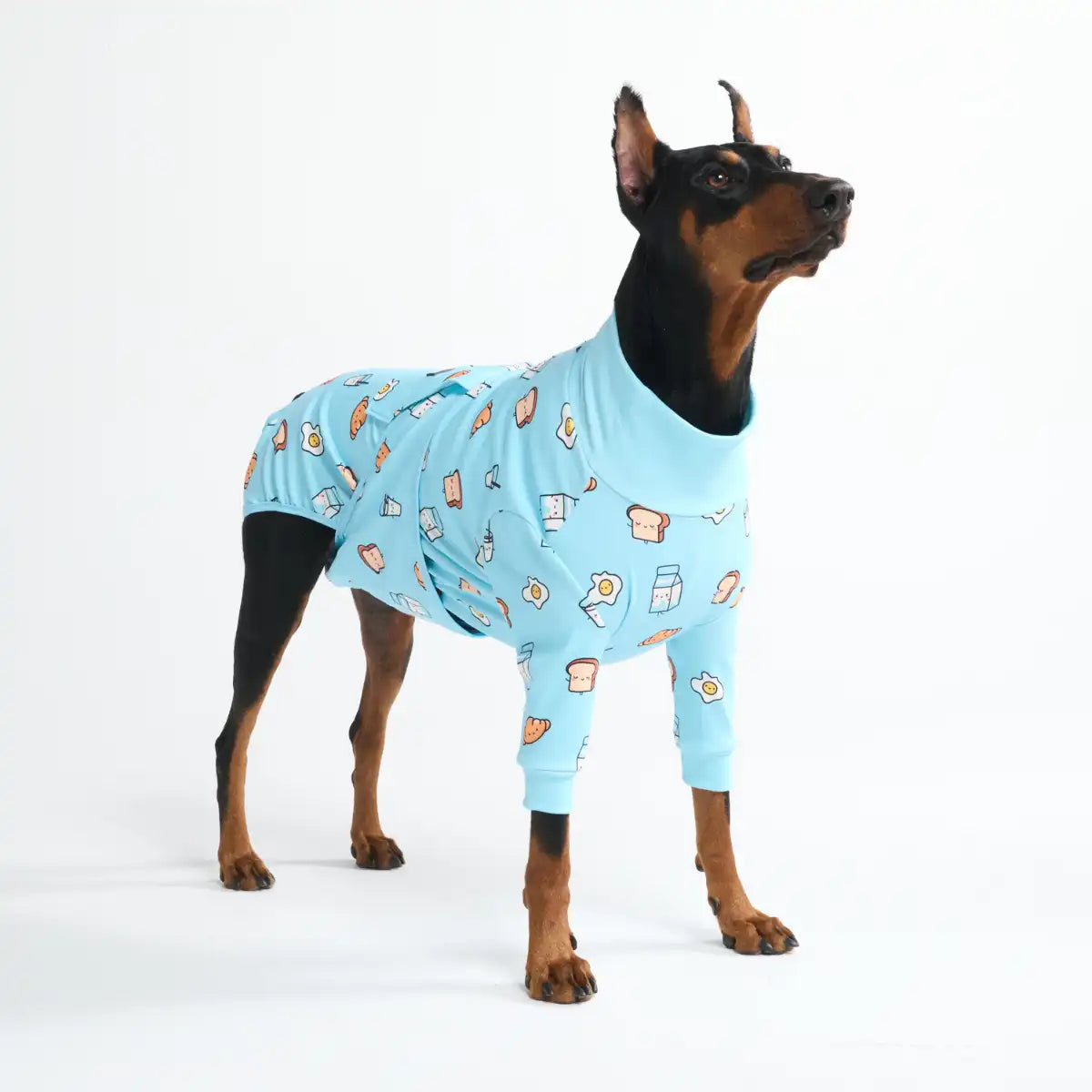 sparkpawsmaut.com