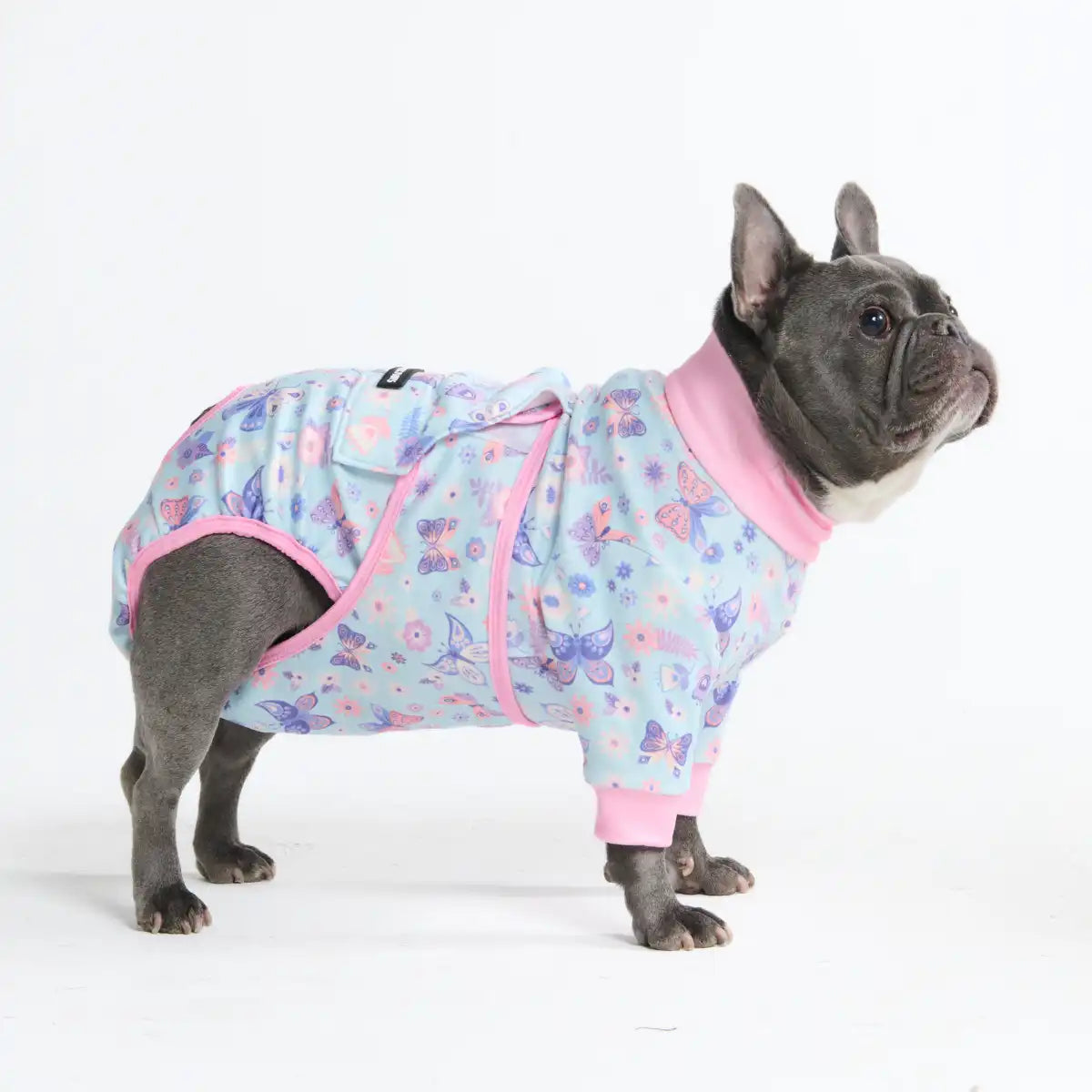 sparkpawsmaut.com