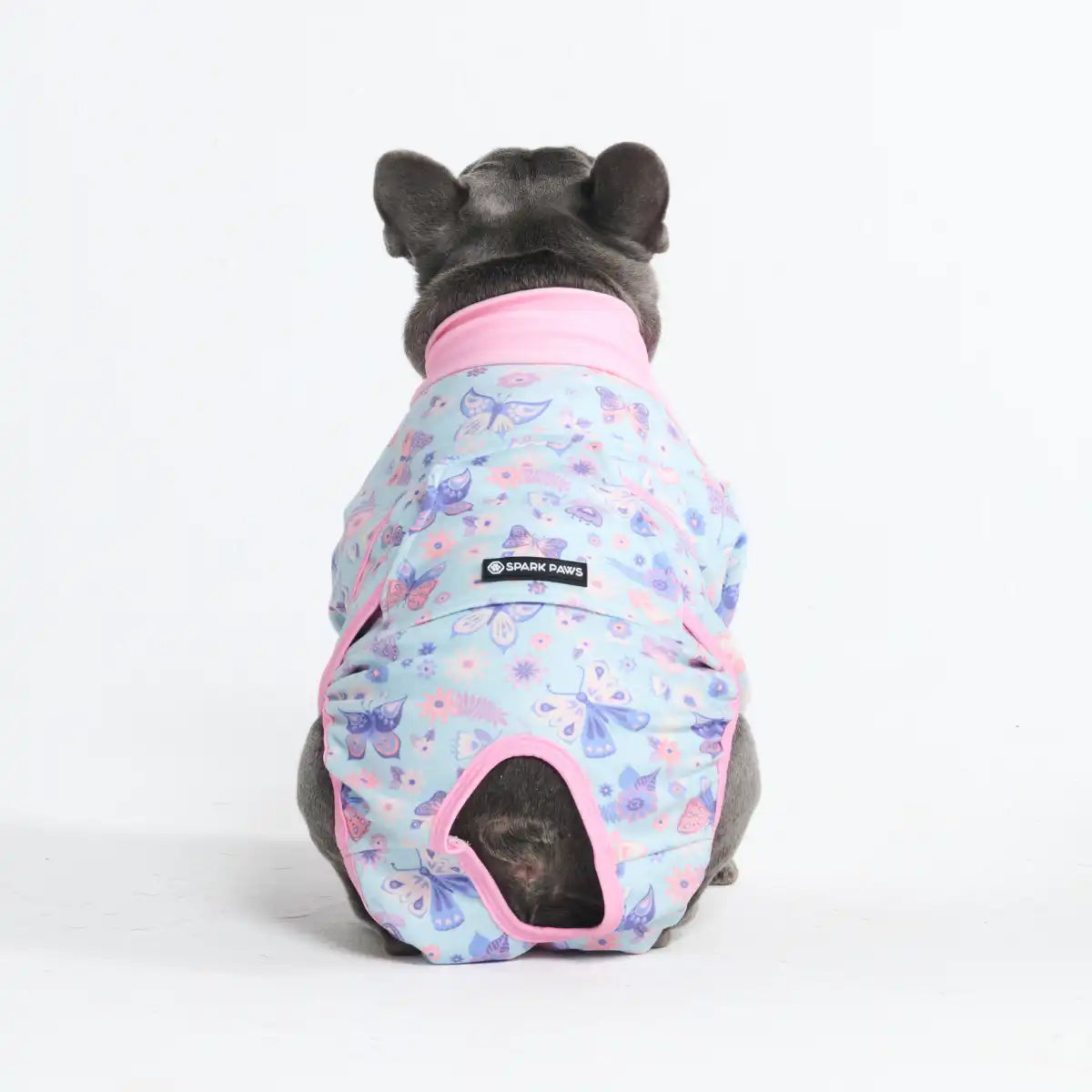 sparkpawsmaut.com