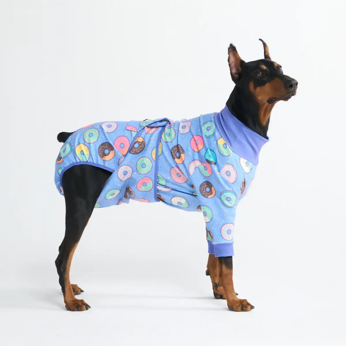 sparkpawsmaut.com