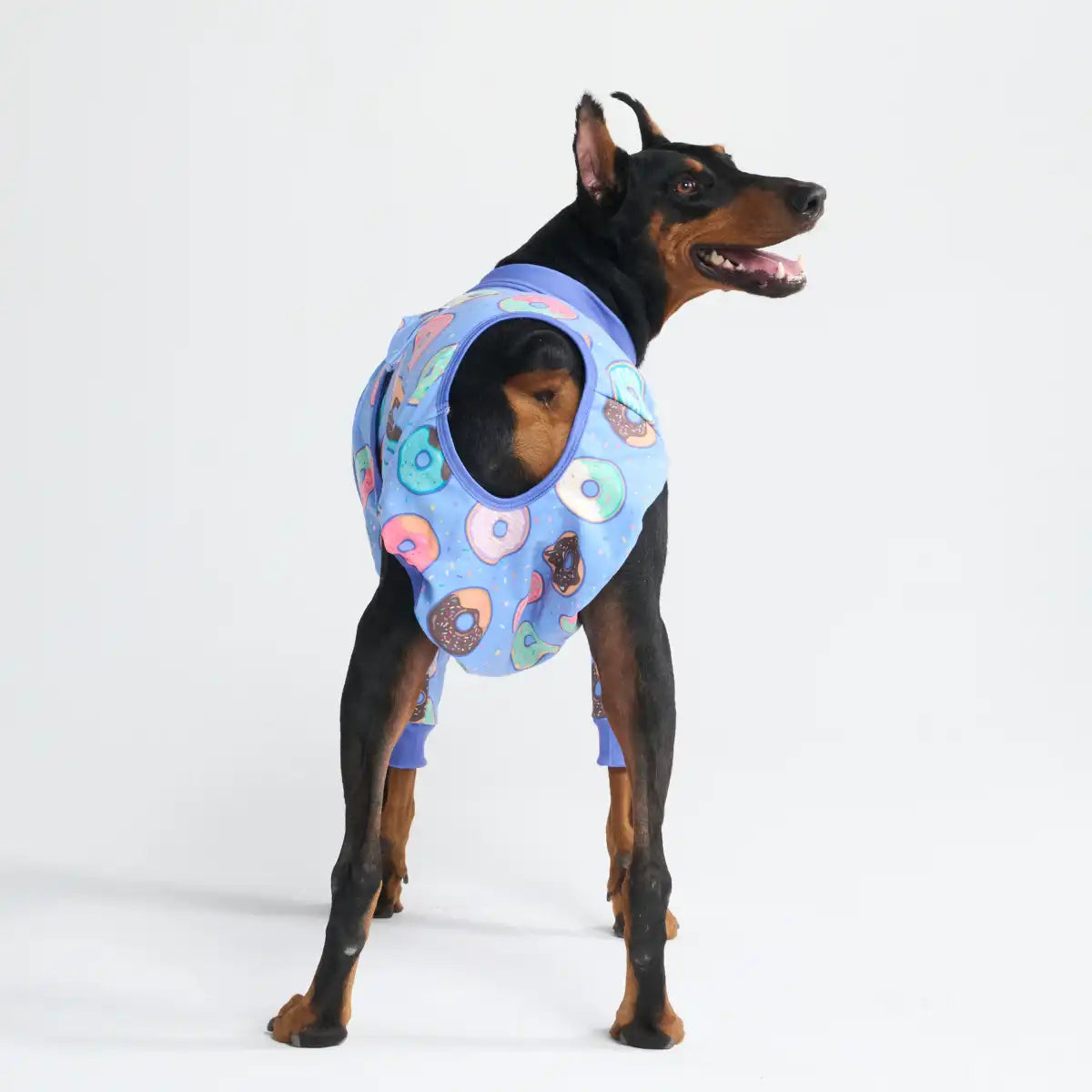 sparkpawsmaut.com