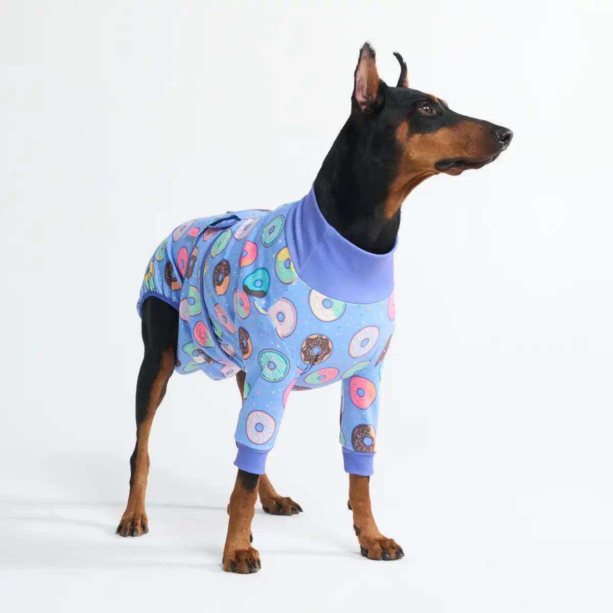 sparkpawsmaut.com