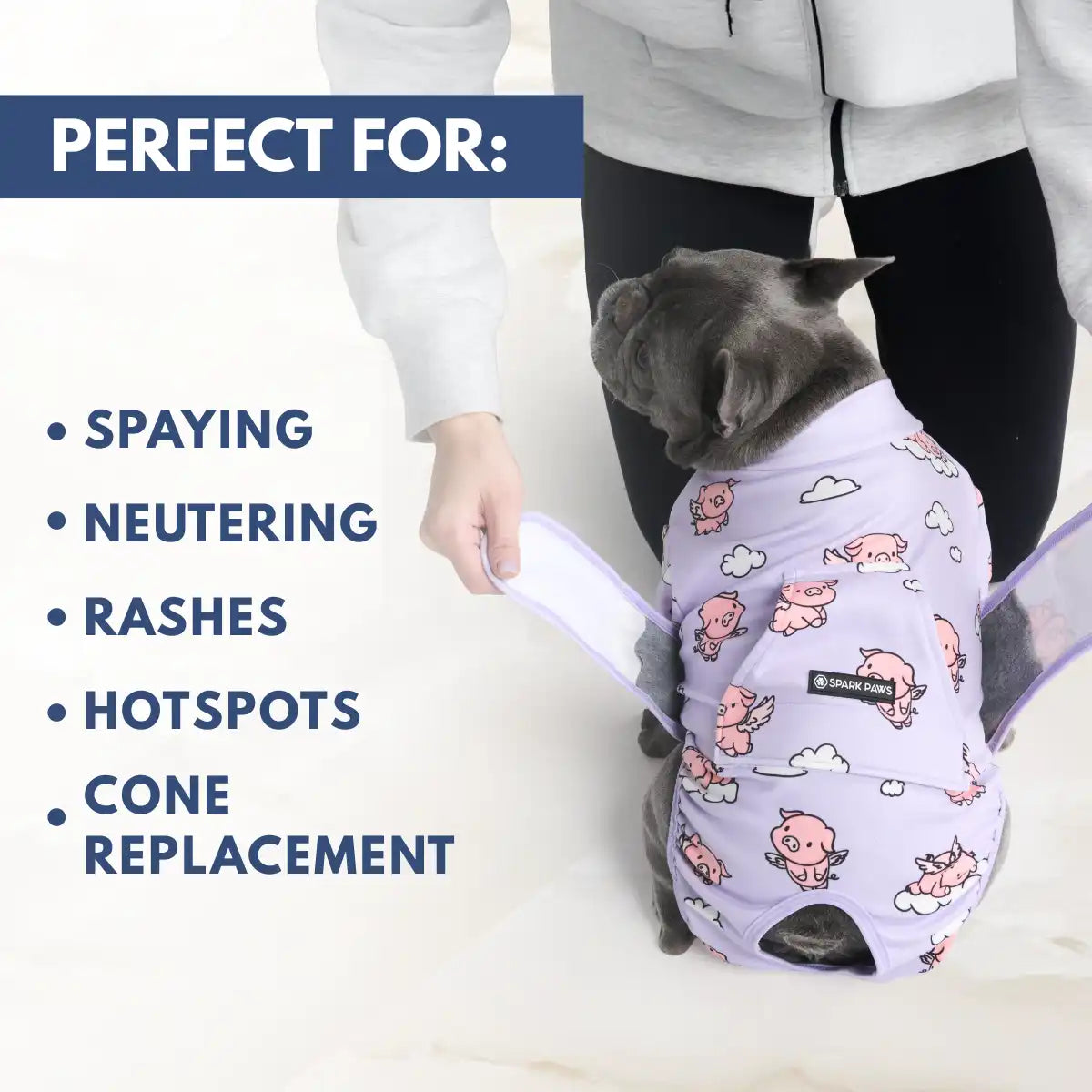 sparkpawsmaut.com