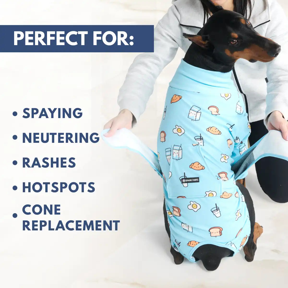 sparkpawsmaut.com