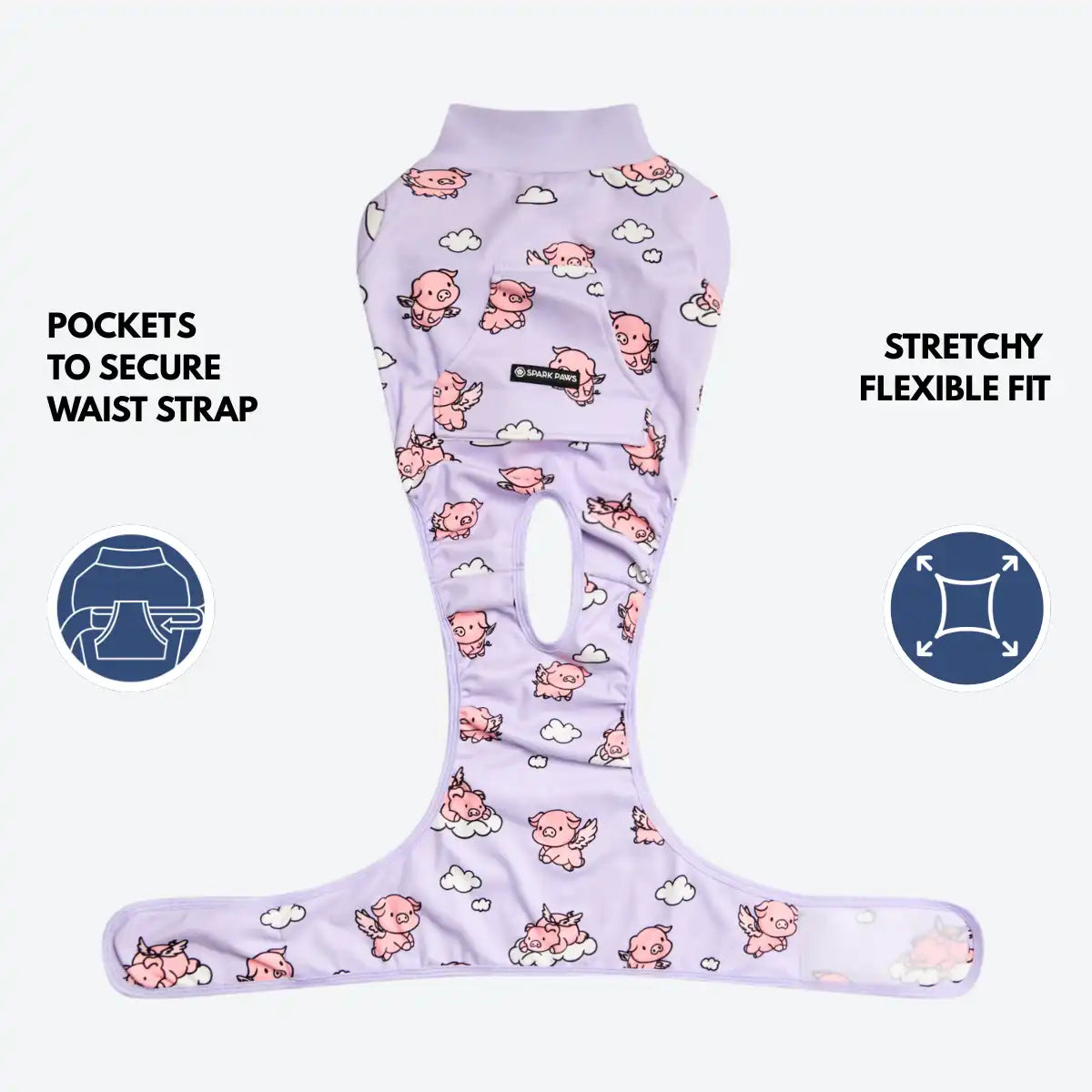 sparkpawsmaut.com