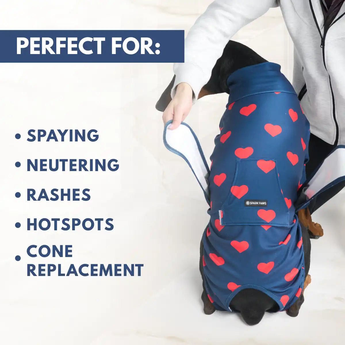 sparkpawsmaut.com