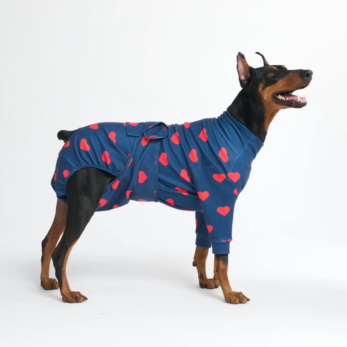 sparkpawsmaut.com