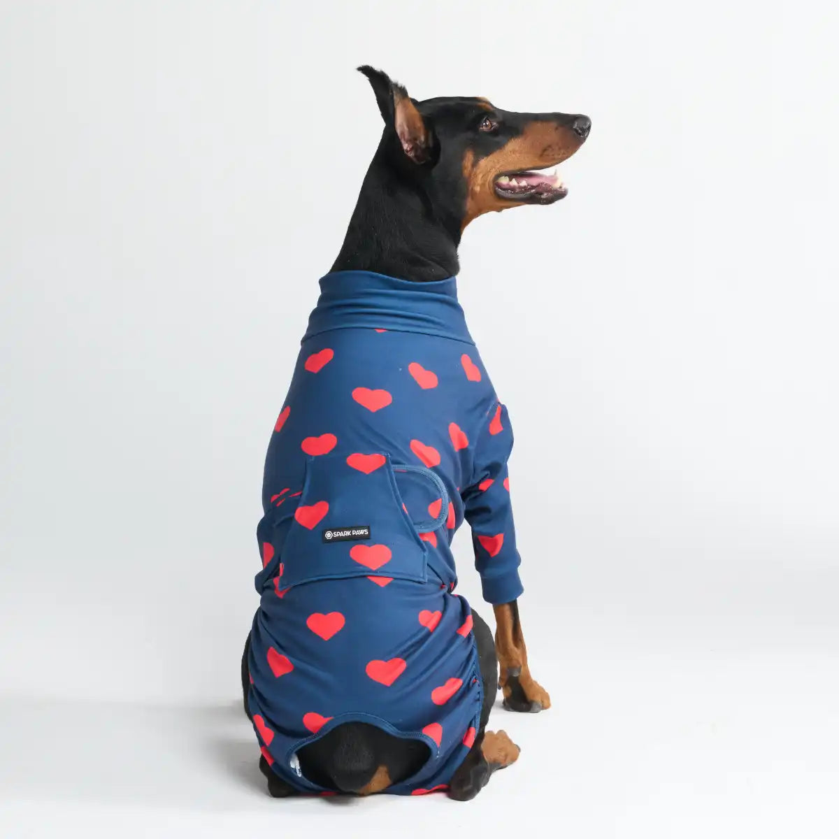 sparkpawsmaut.com