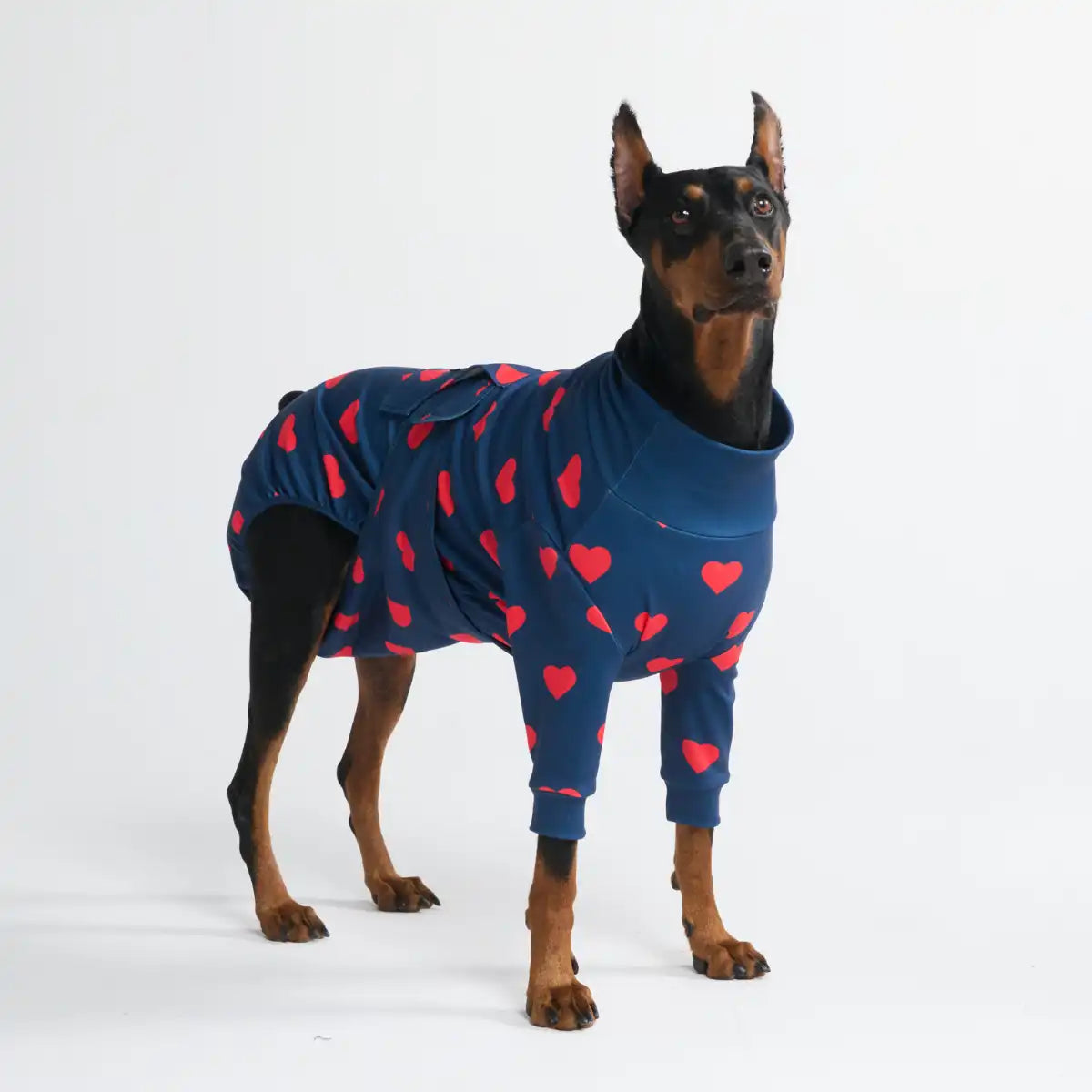 sparkpawsmaut.com