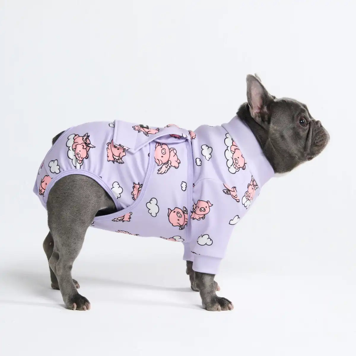 sparkpawsmaut.com