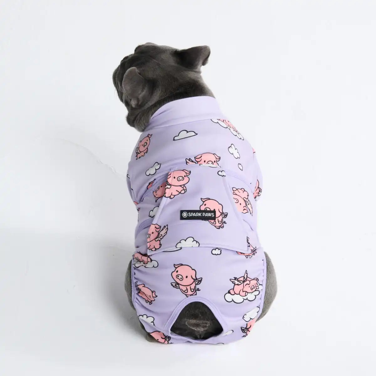 sparkpawsmaut.com