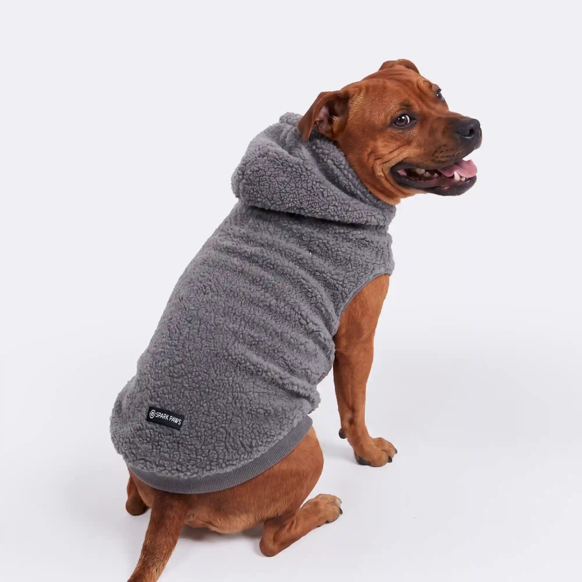 sparkpawsmaut.com