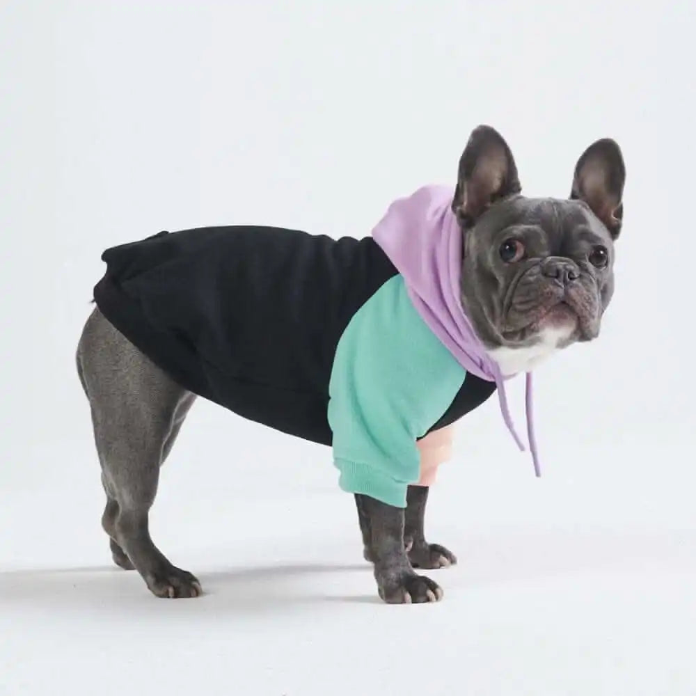 sparkpawsmaut.com