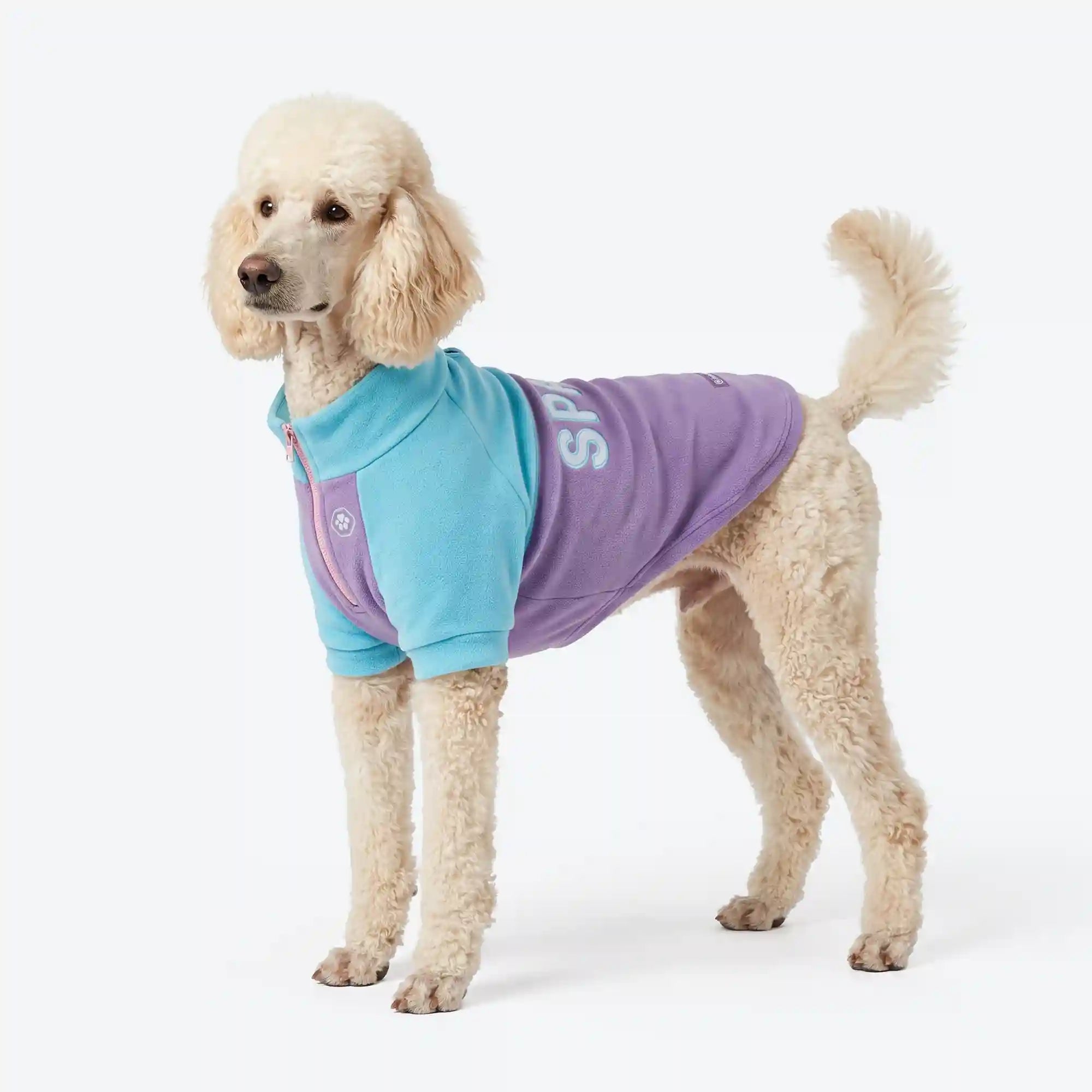 sparkpawsmaut.com