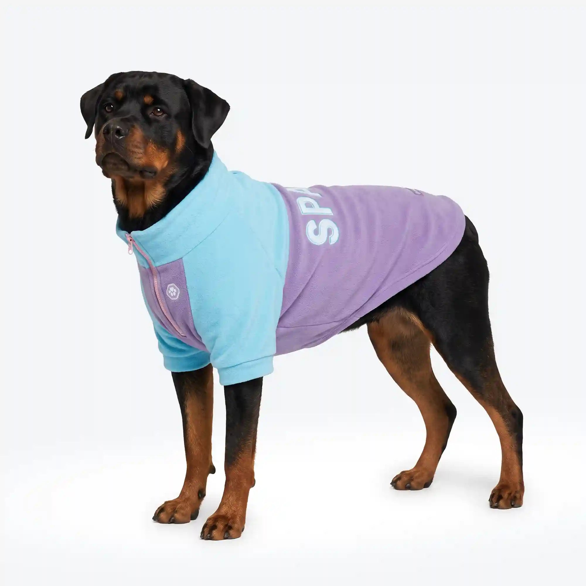 sparkpawsmaut.com