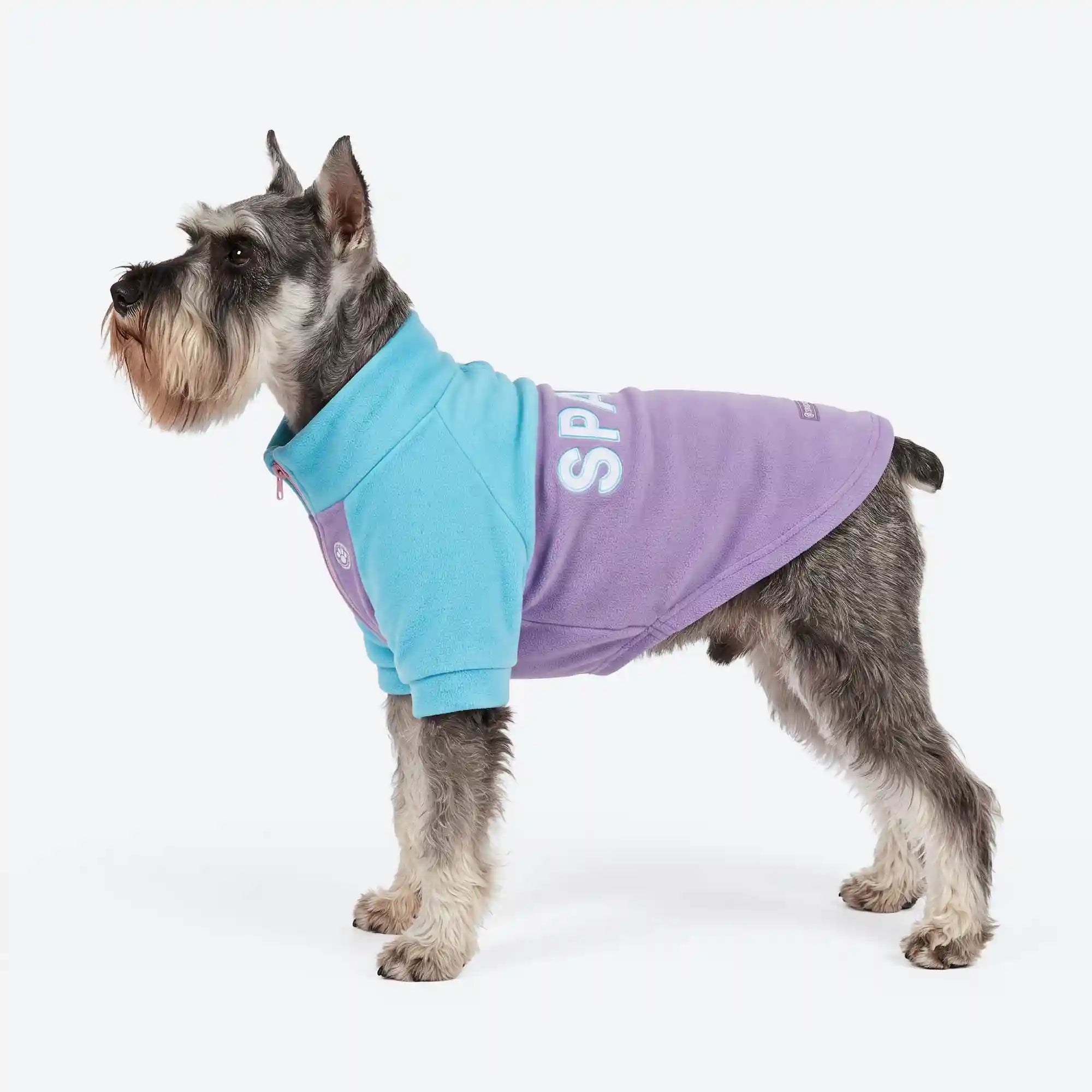 sparkpawsmaut.com