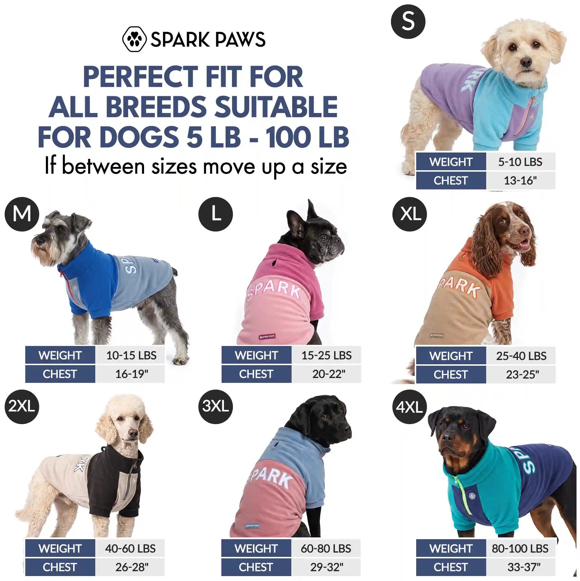 sparkpawsmaut.com