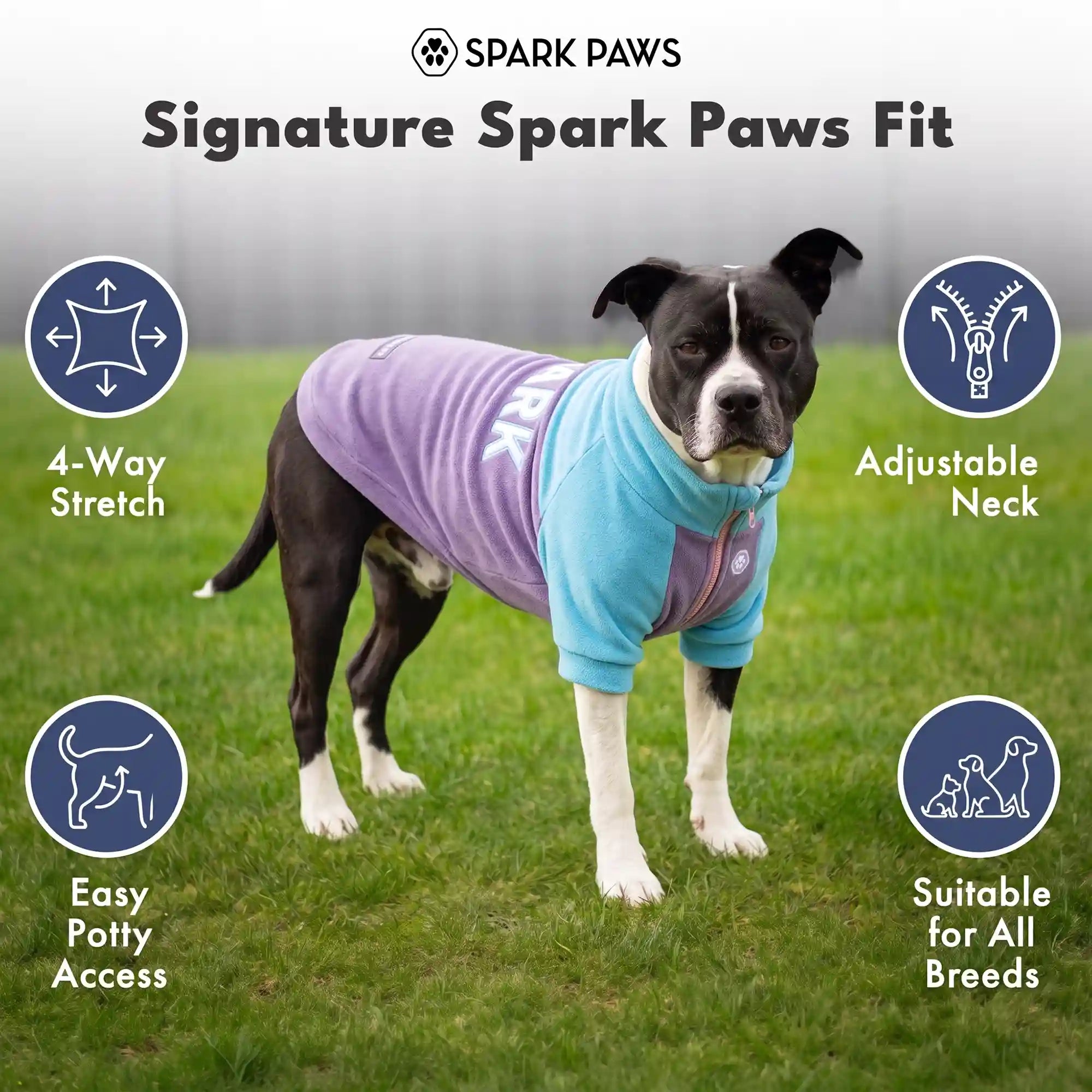 sparkpawsmaut.com