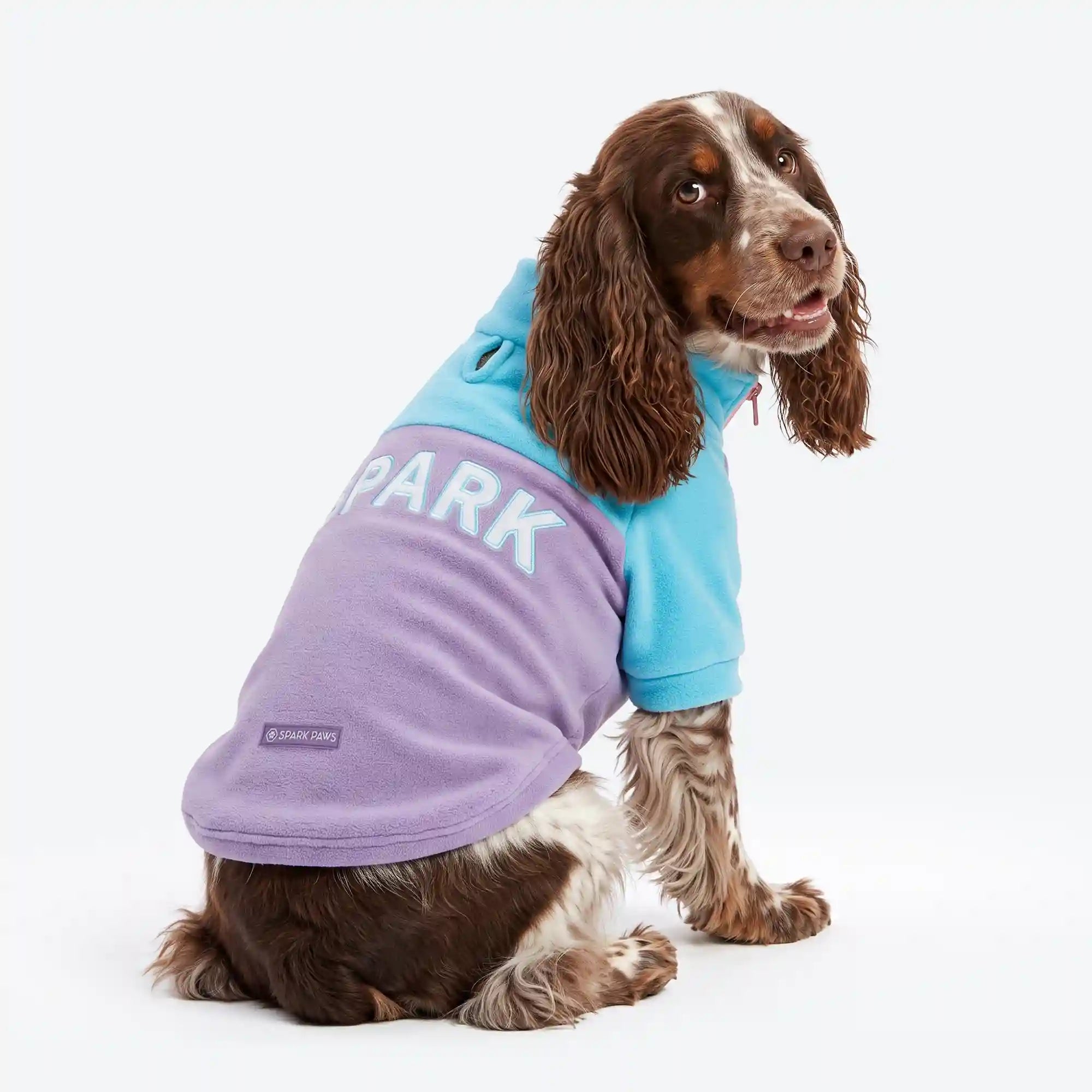 sparkpawsmaut.com