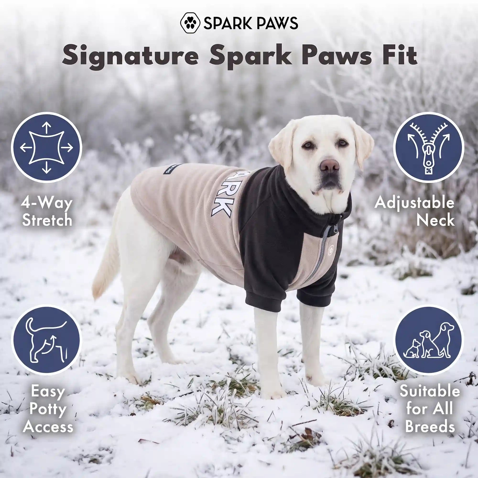sparkpawsmaut.com