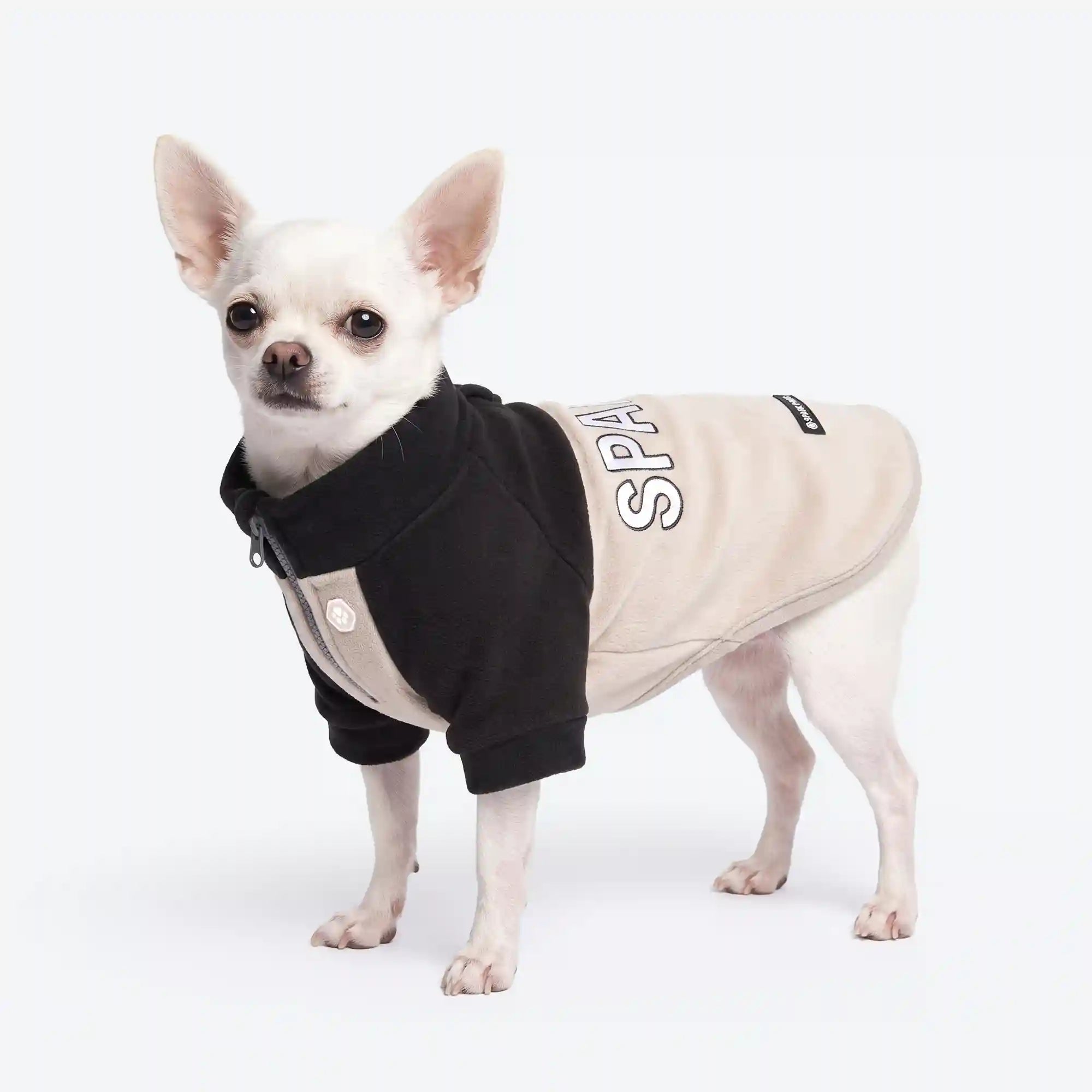 sparkpawsmaut.com