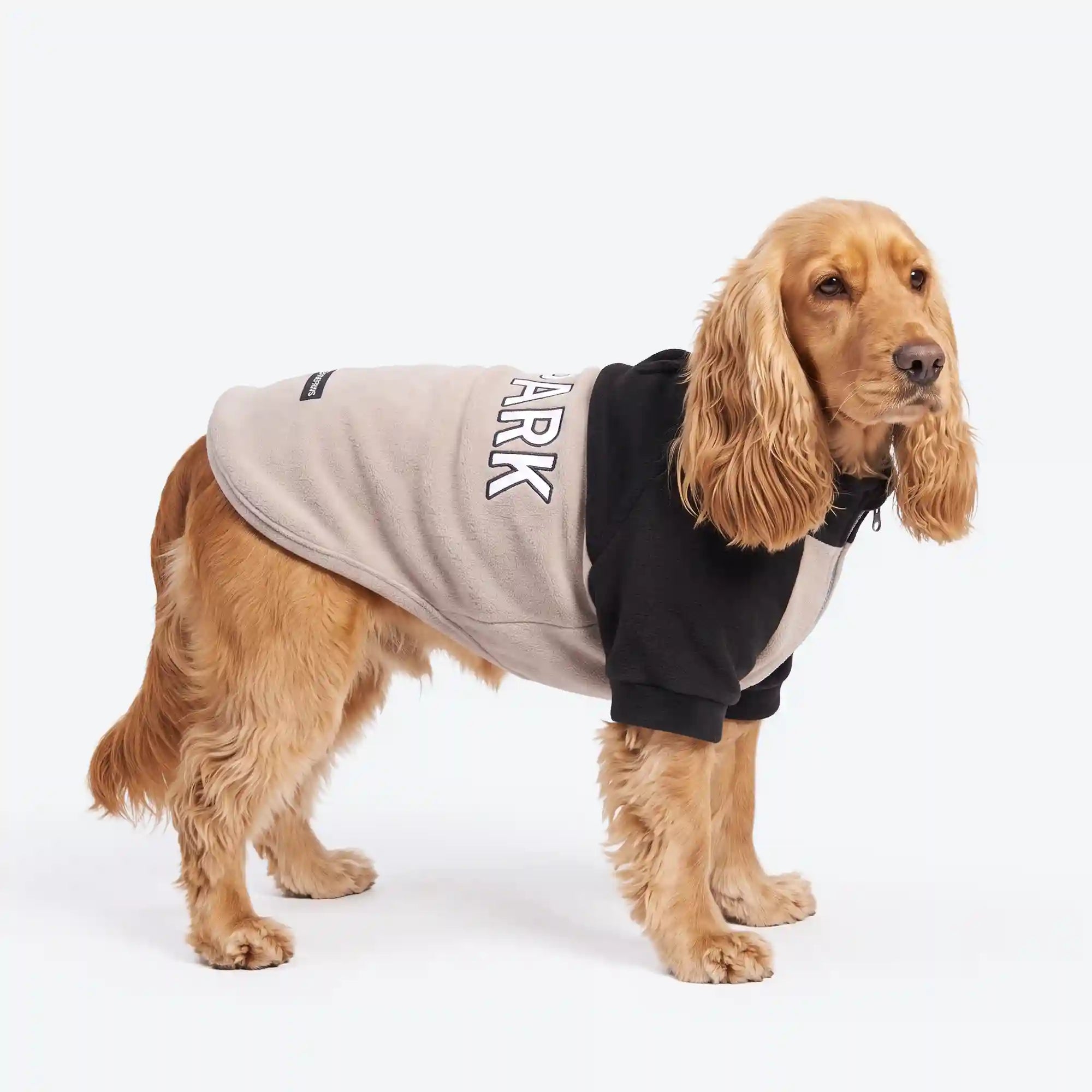 sparkpawsmaut.com