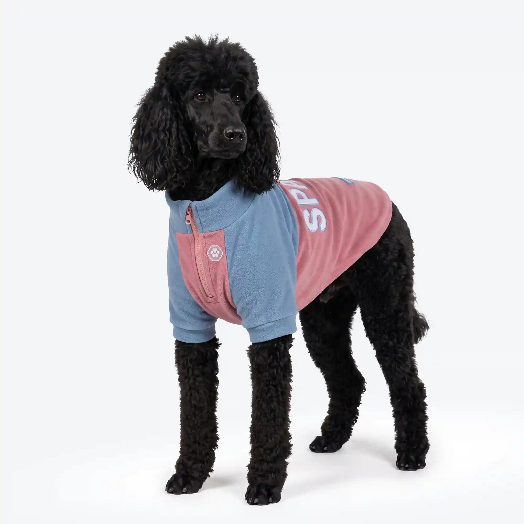 sparkpawsmaut.com