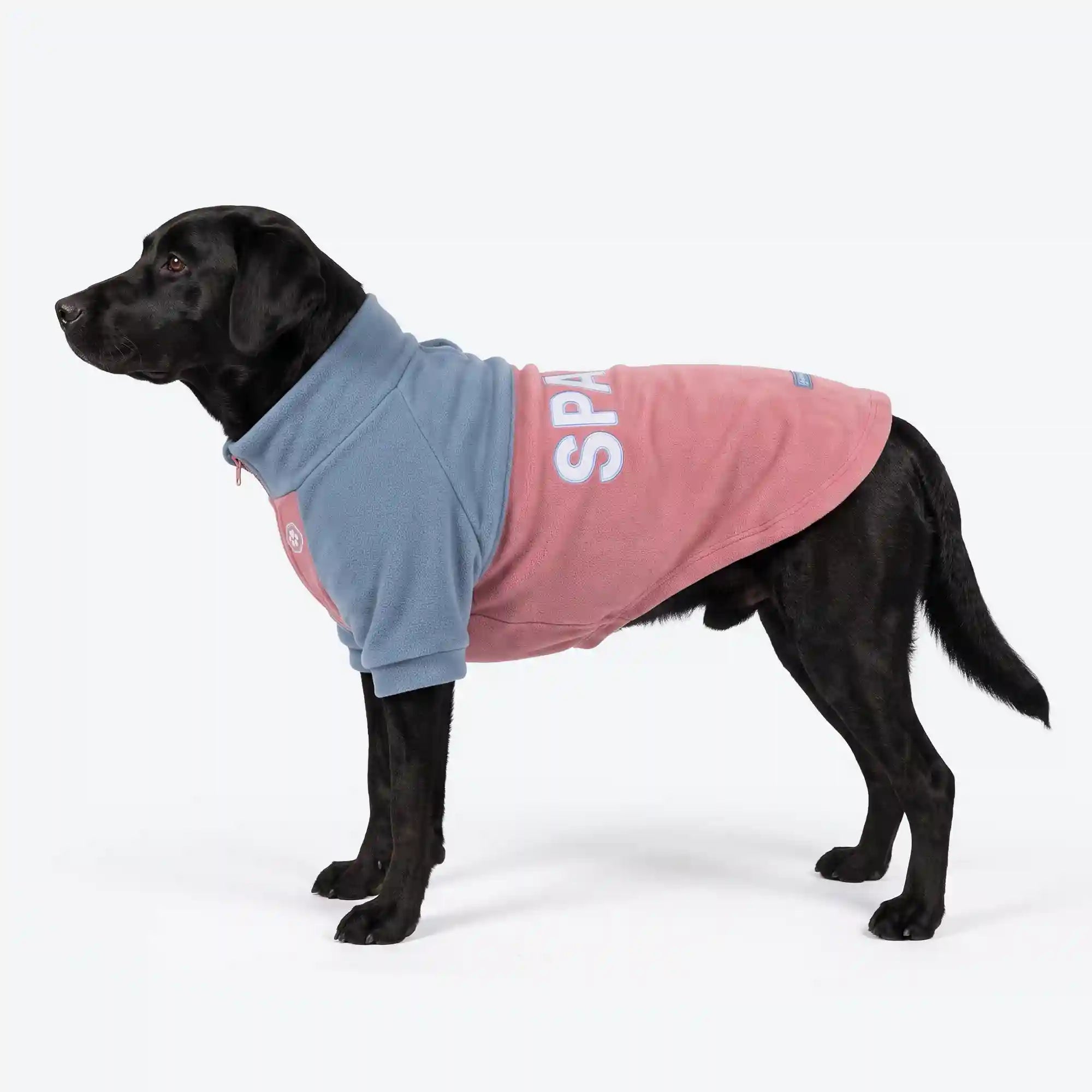 sparkpawsmaut.com
