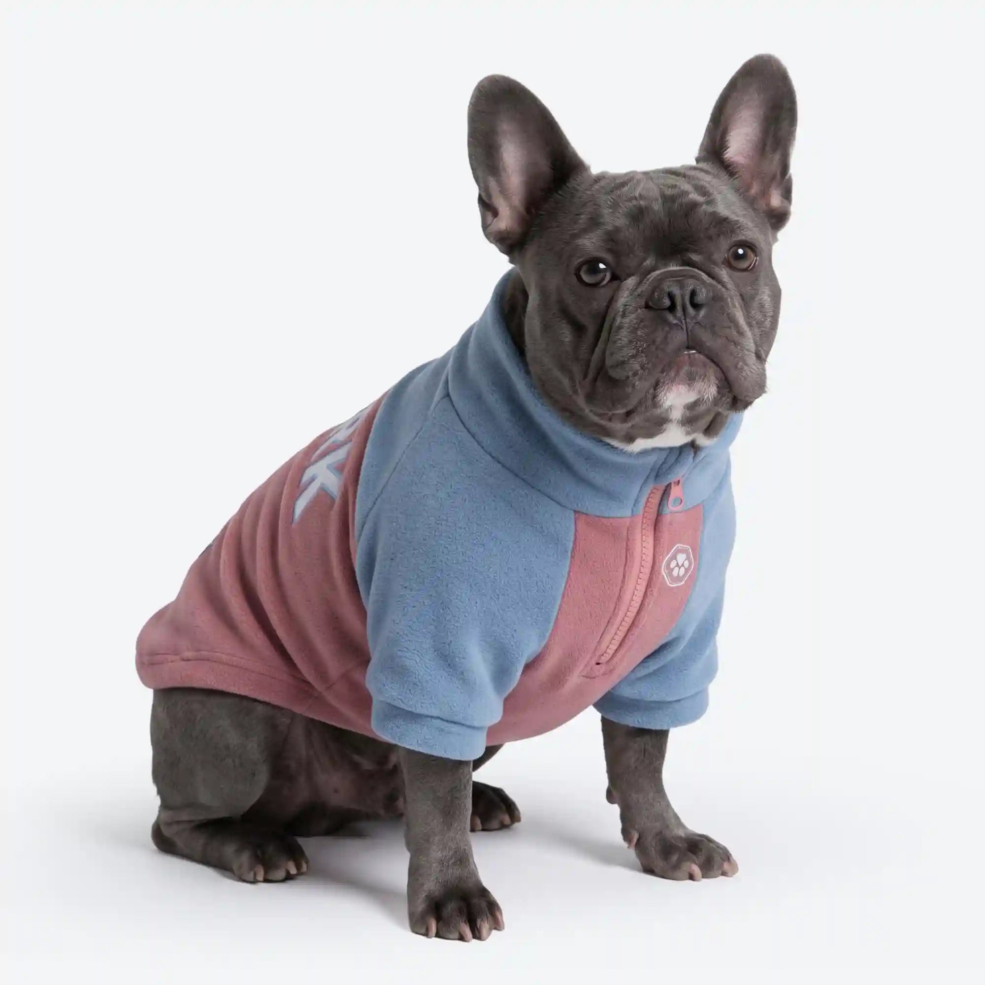 sparkpawsmaut.com