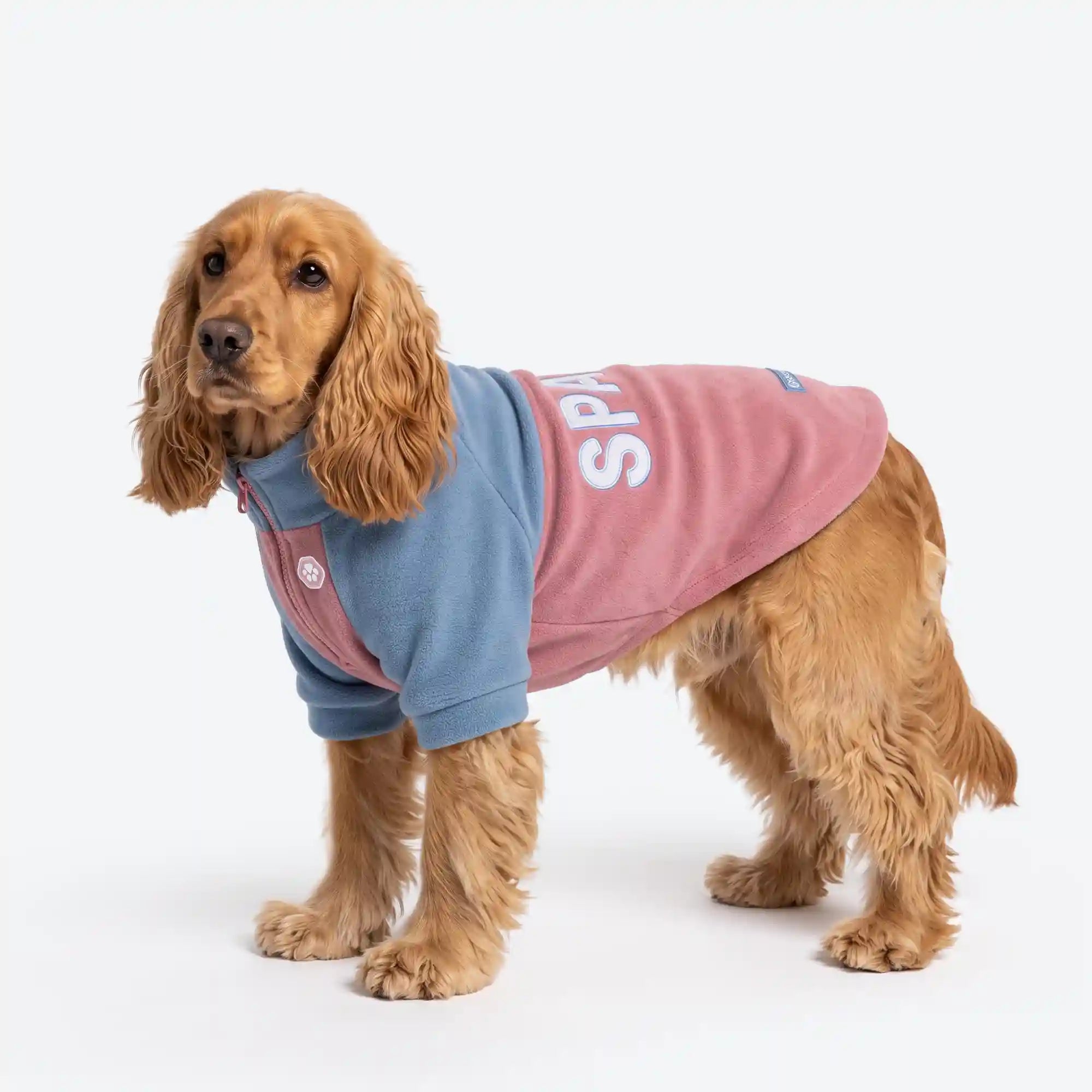 sparkpawsmaut.com