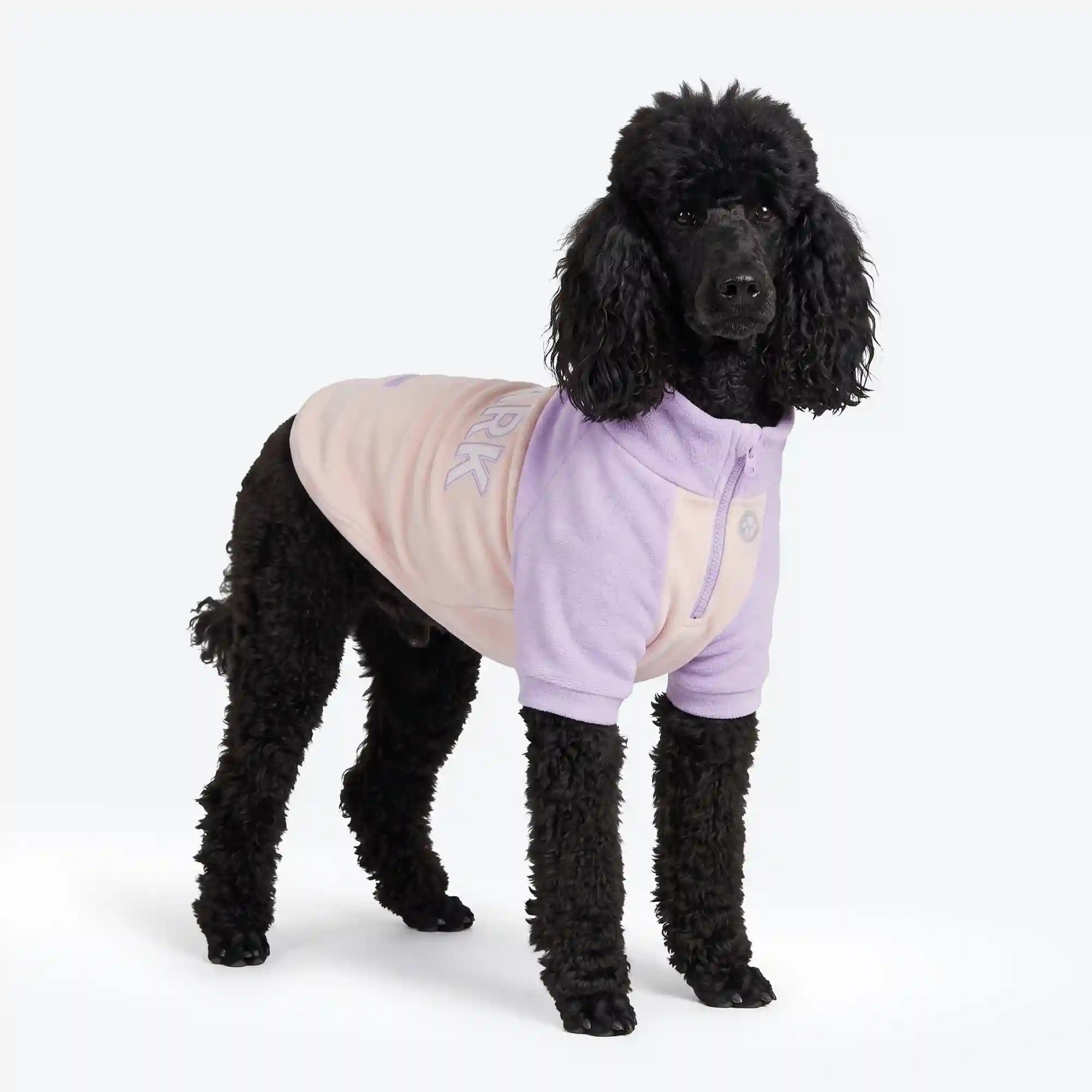 sparkpawsmaut.com