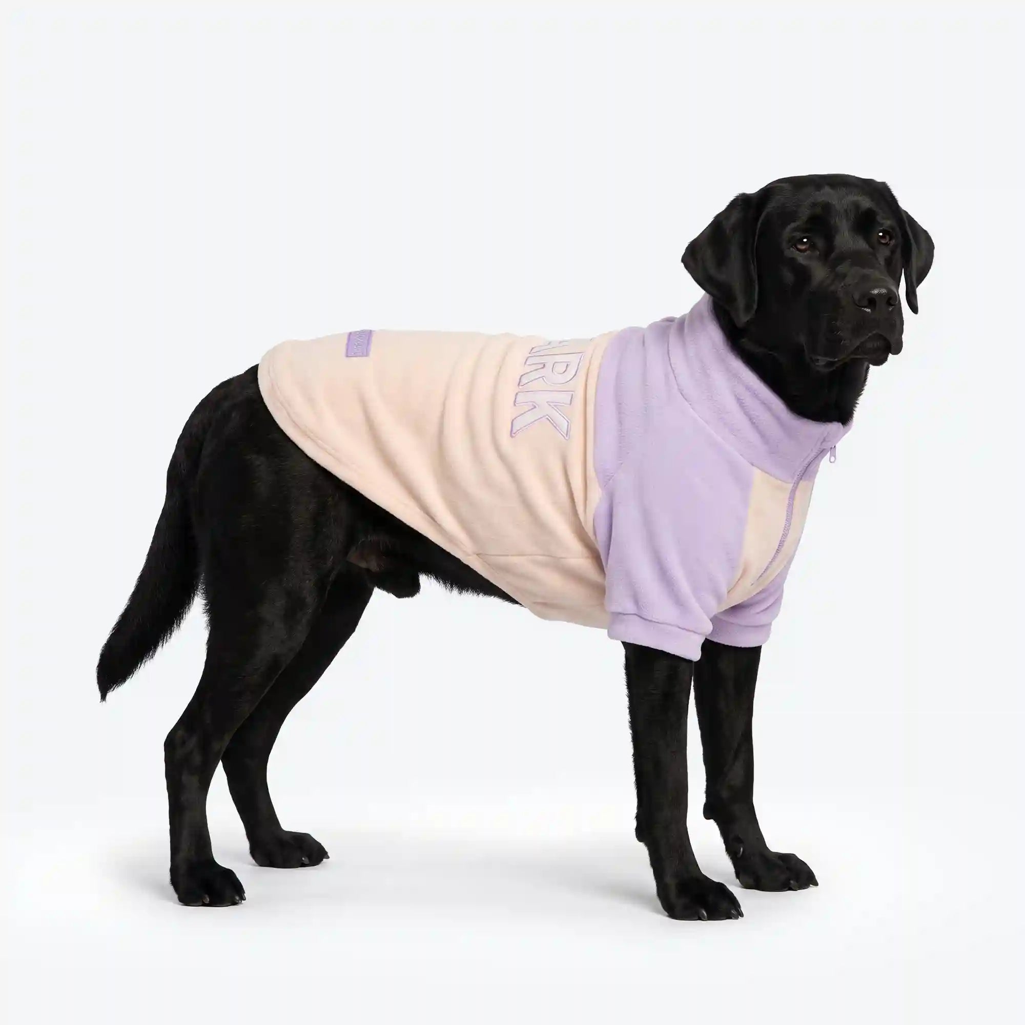 sparkpawsmaut.com