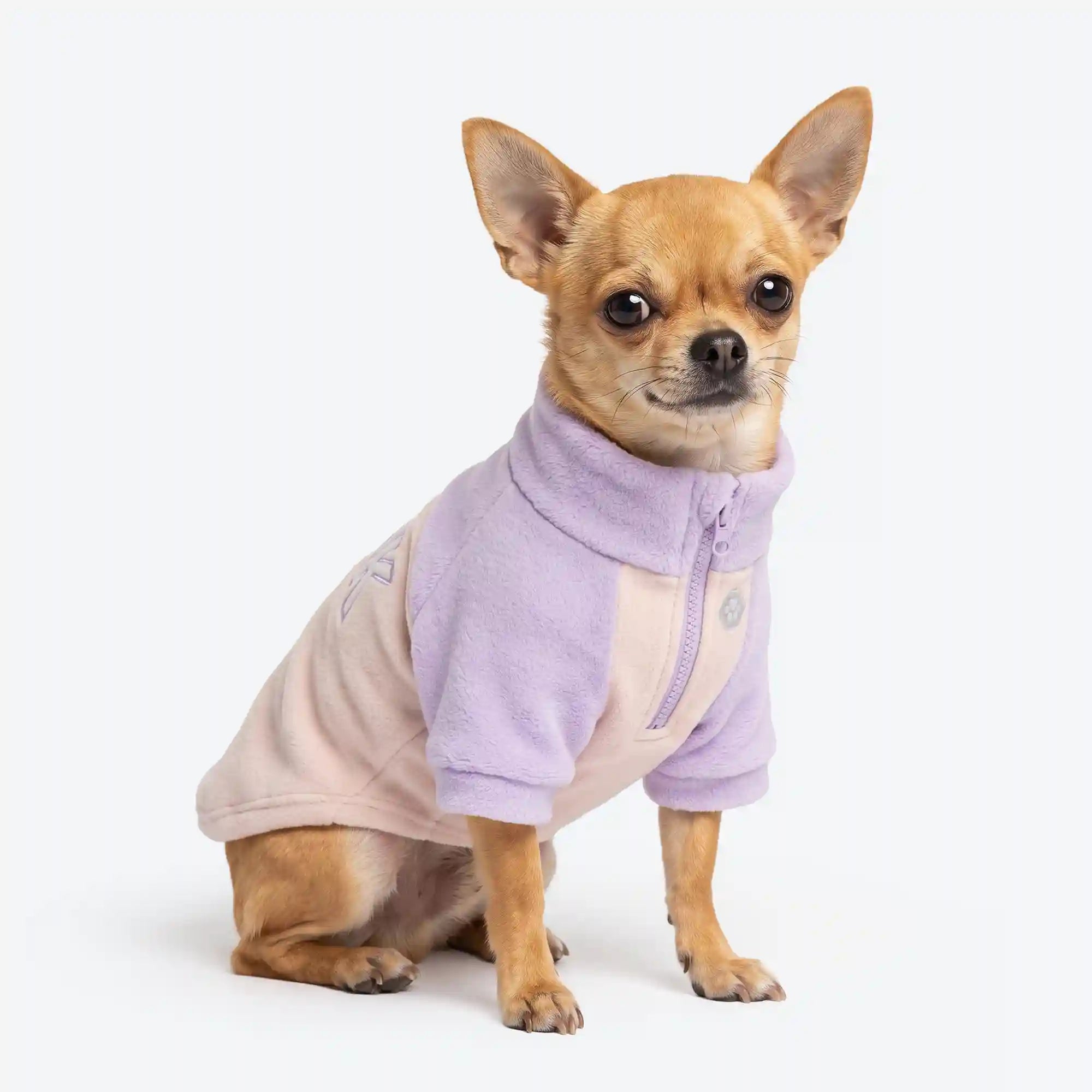 sparkpawsmaut.com