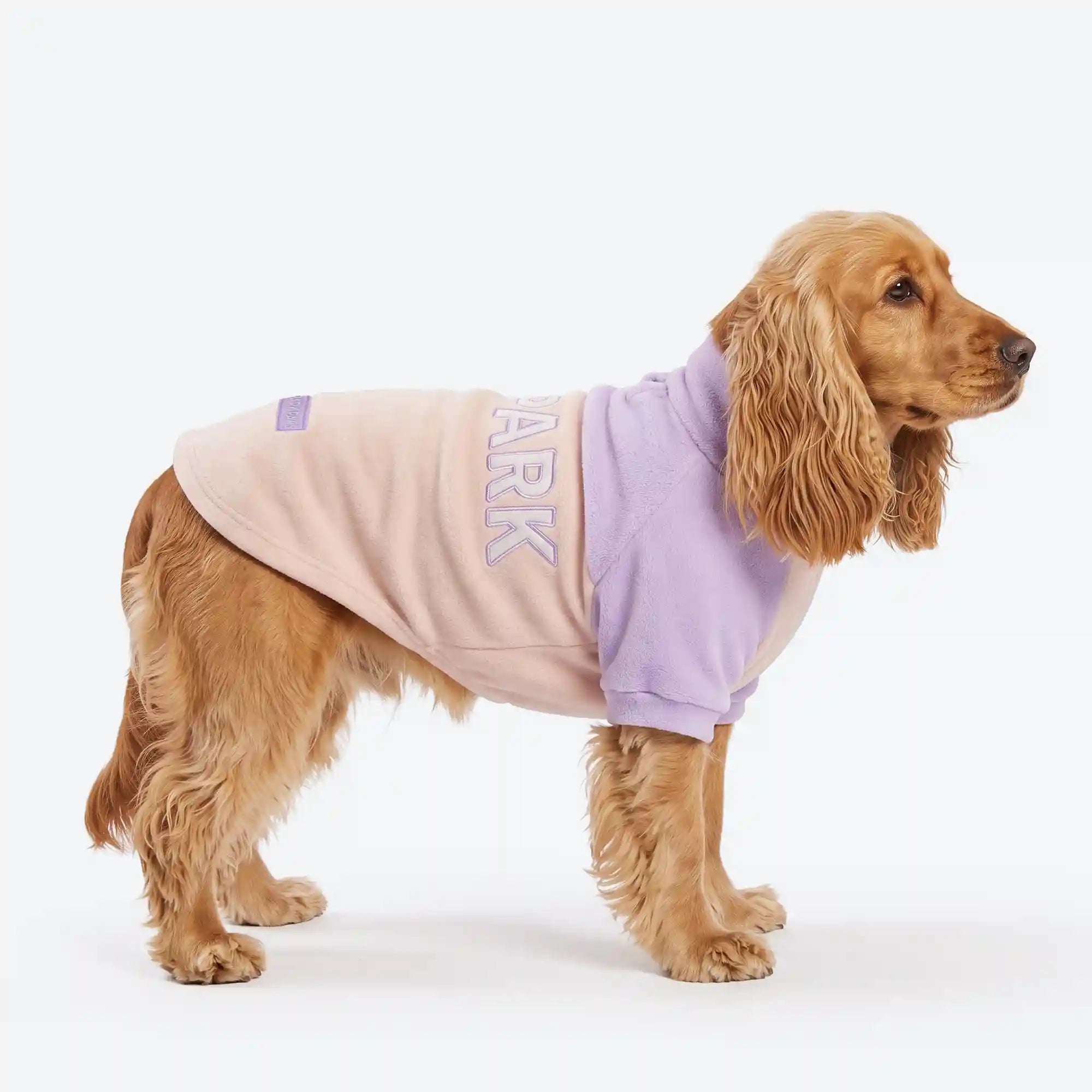 sparkpawsmaut.com