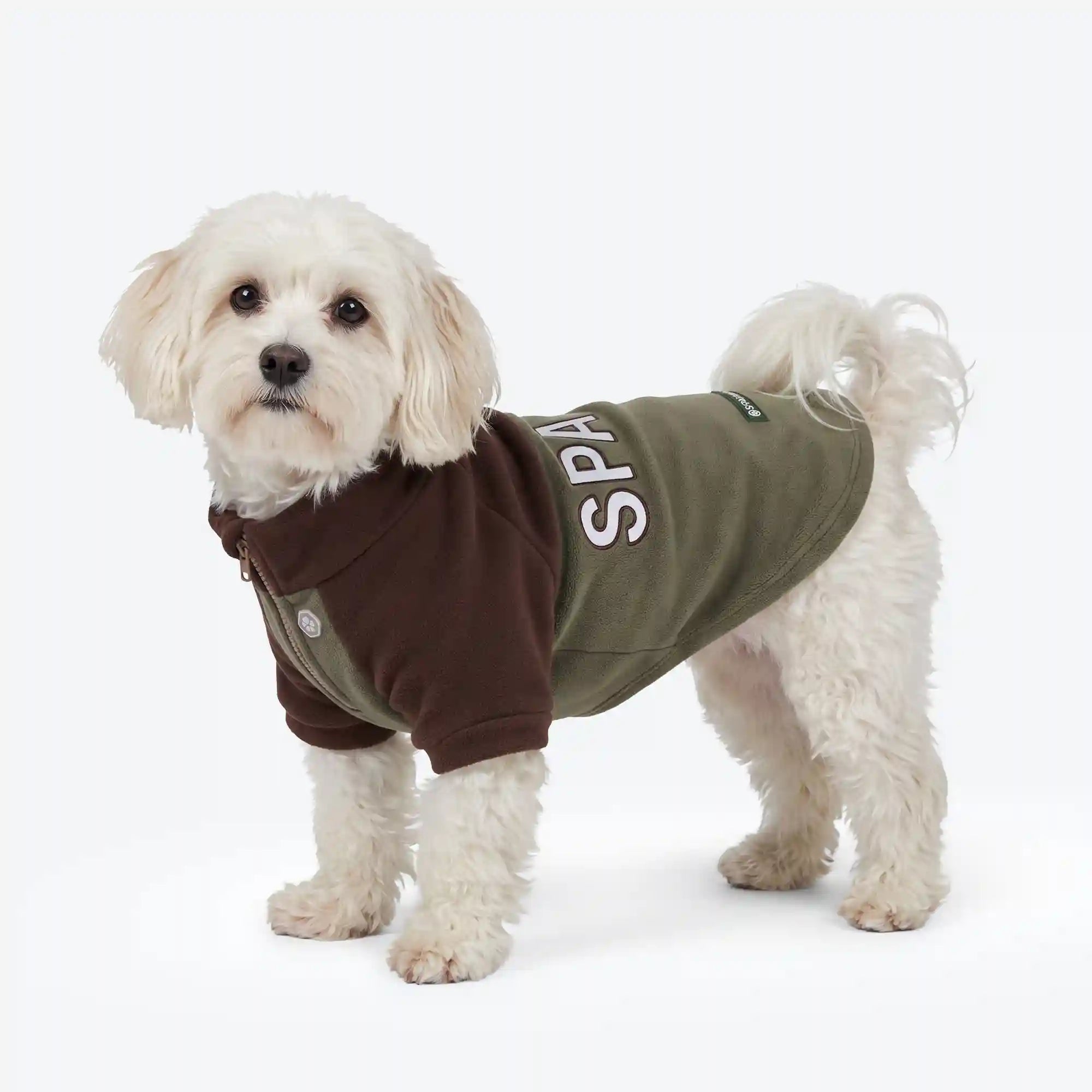 sparkpawsmaut.com
