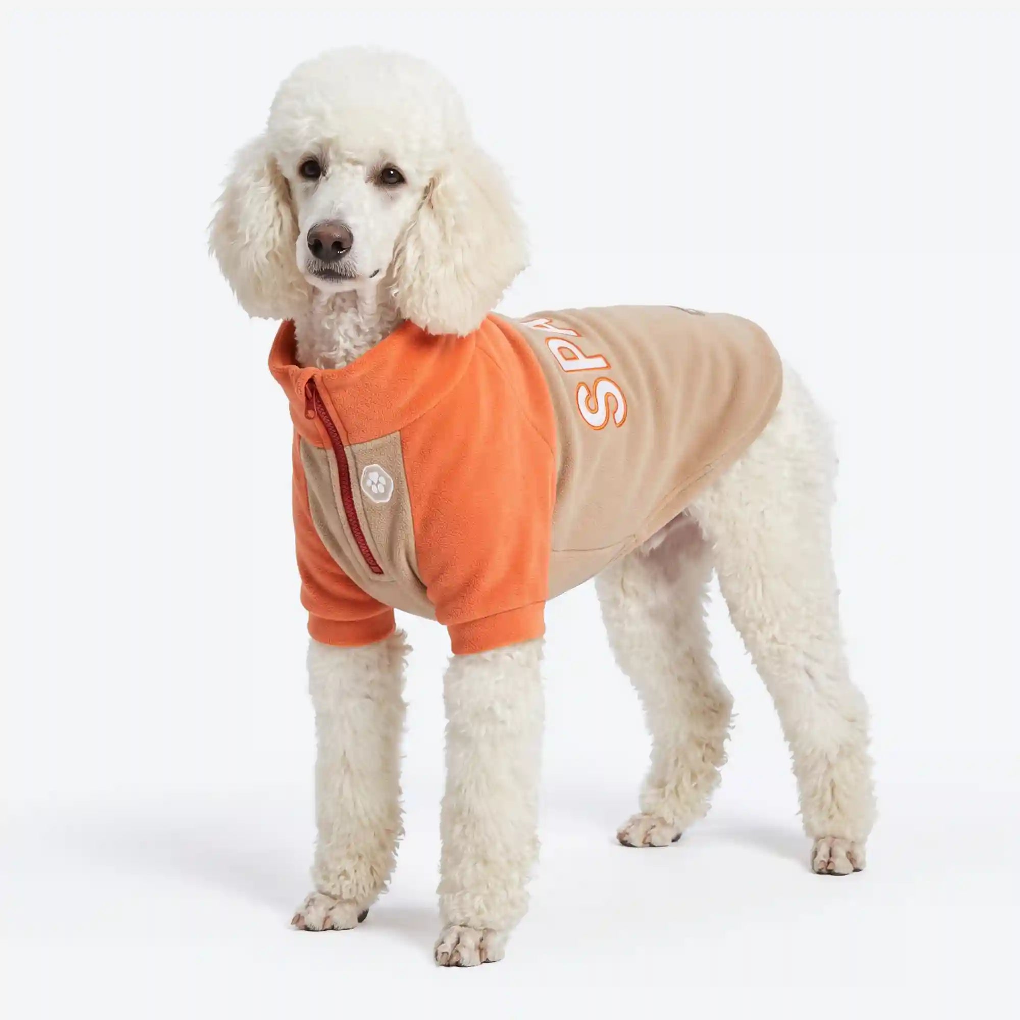 sparkpawsmaut.com
