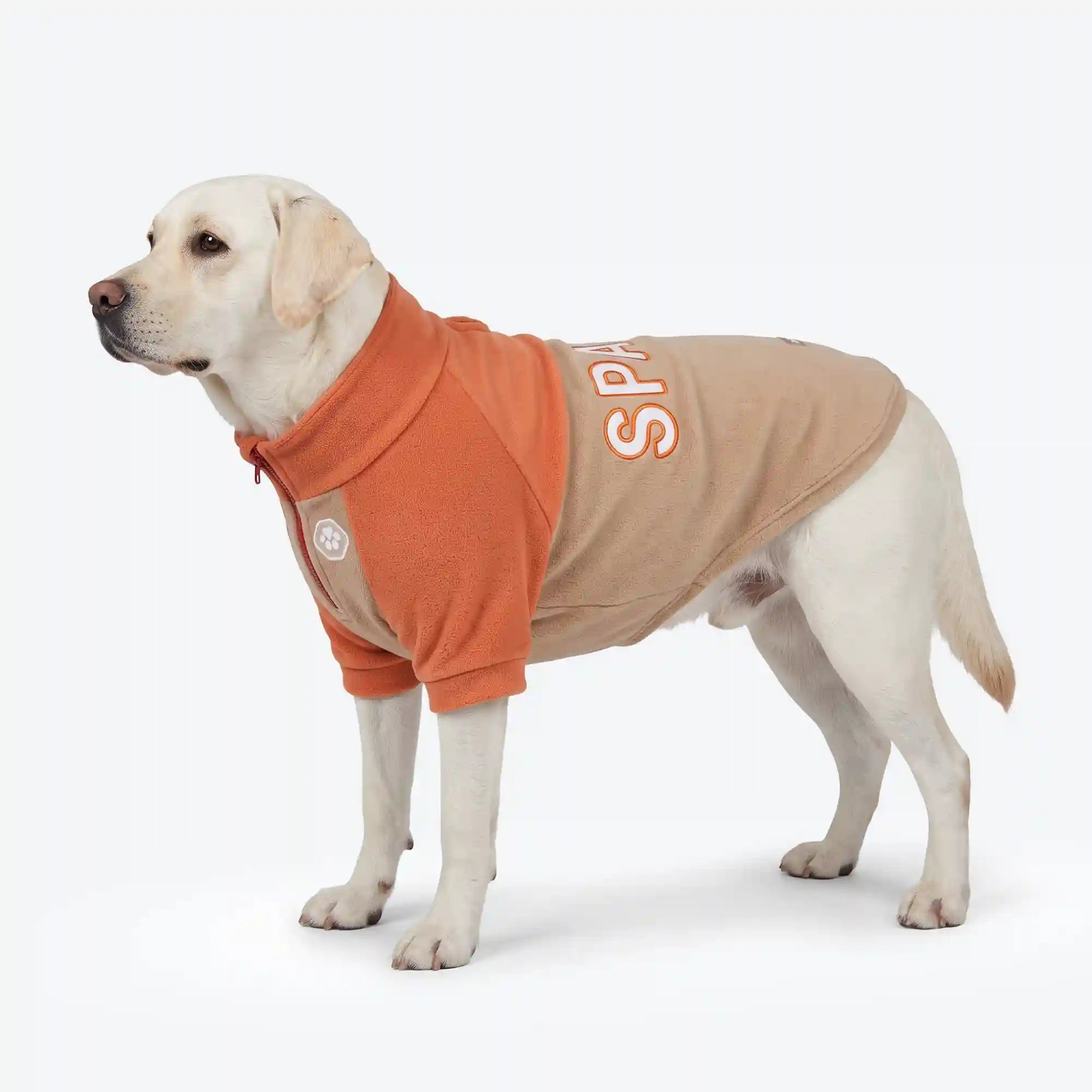 sparkpawsmaut.com