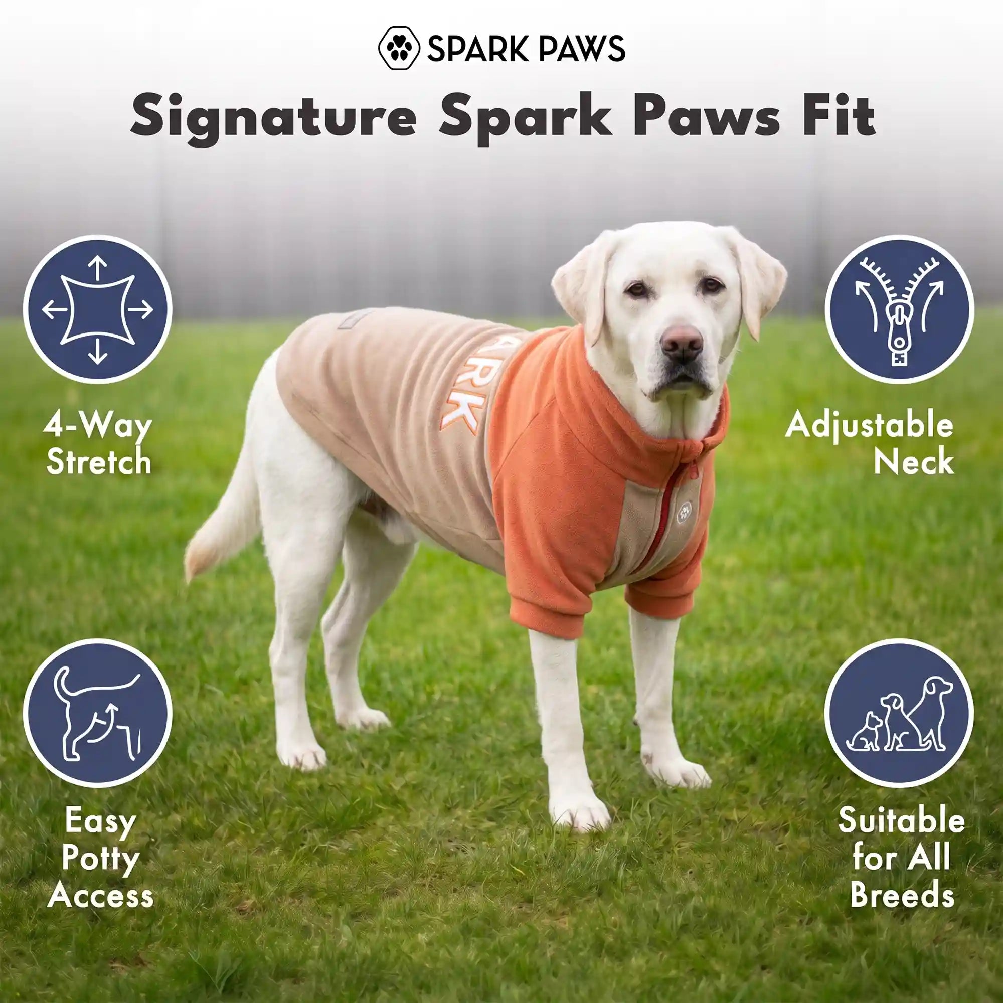 sparkpawsmaut.com