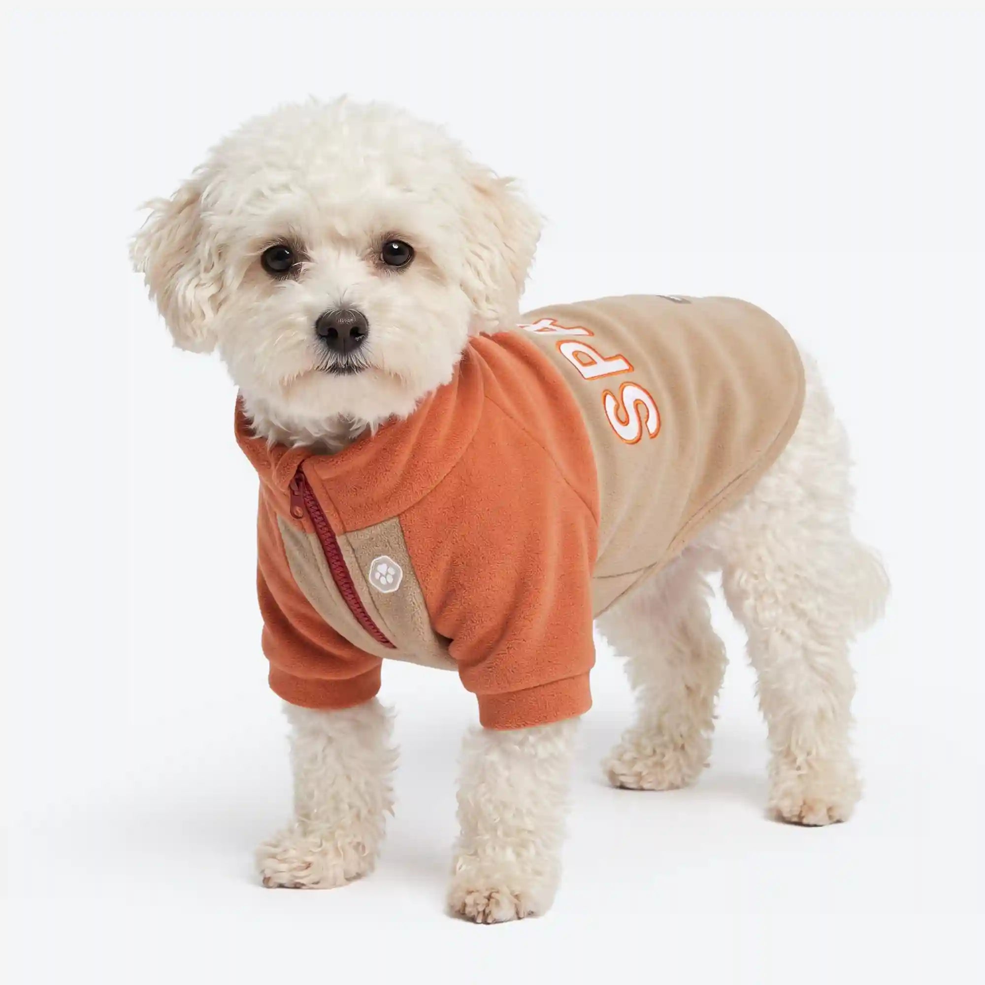 sparkpawsmaut.com