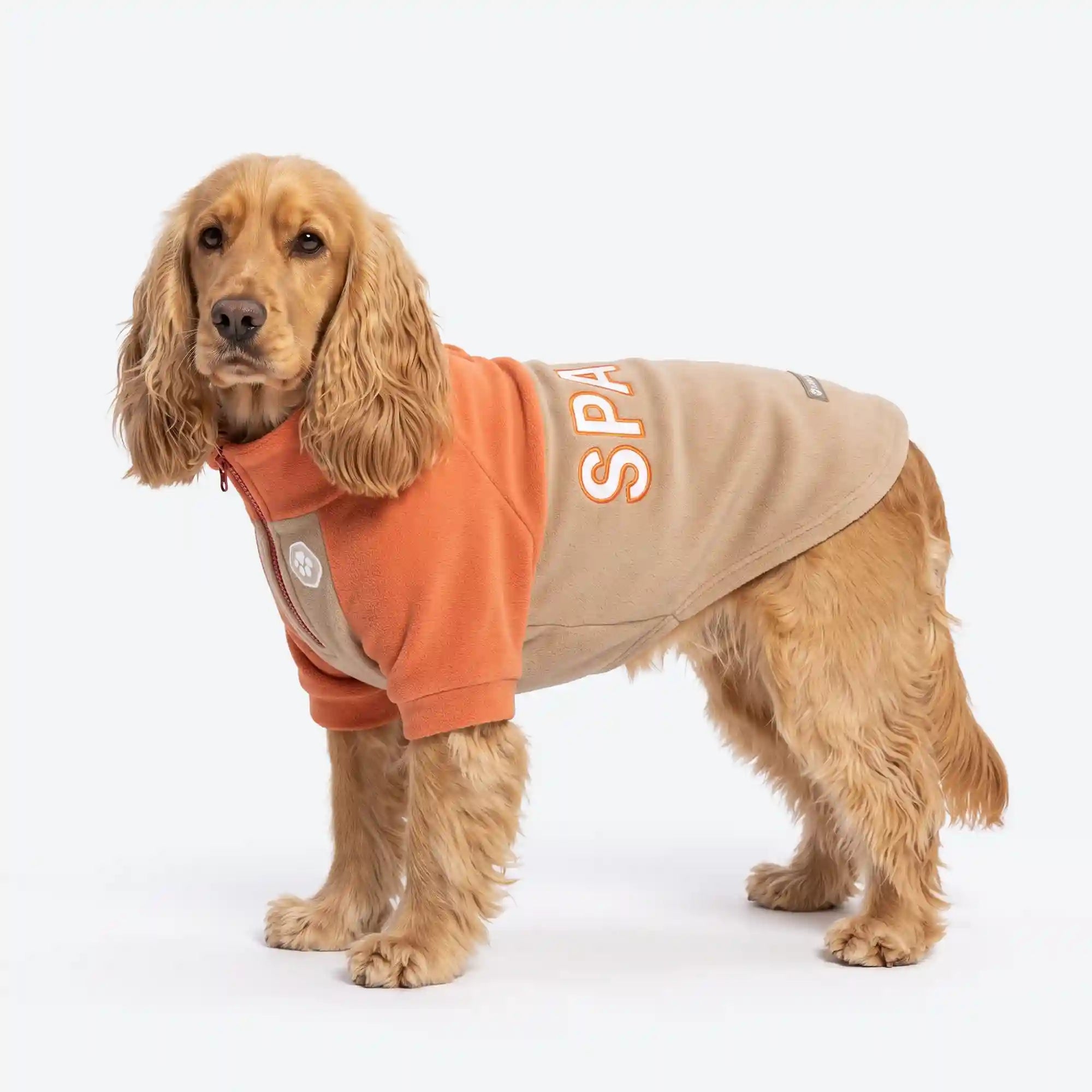 sparkpawsmaut.com